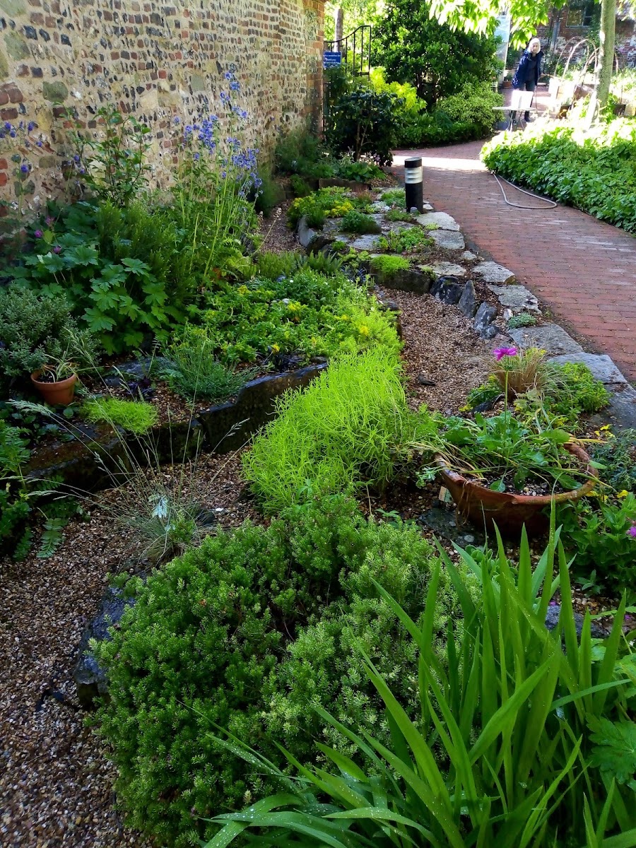 The Secret Garden