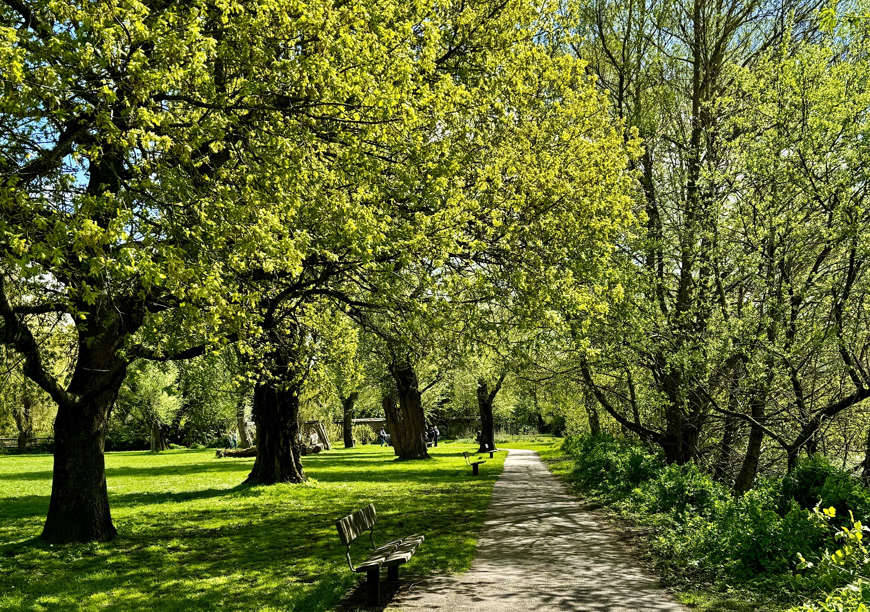 Elizabeth Gardens