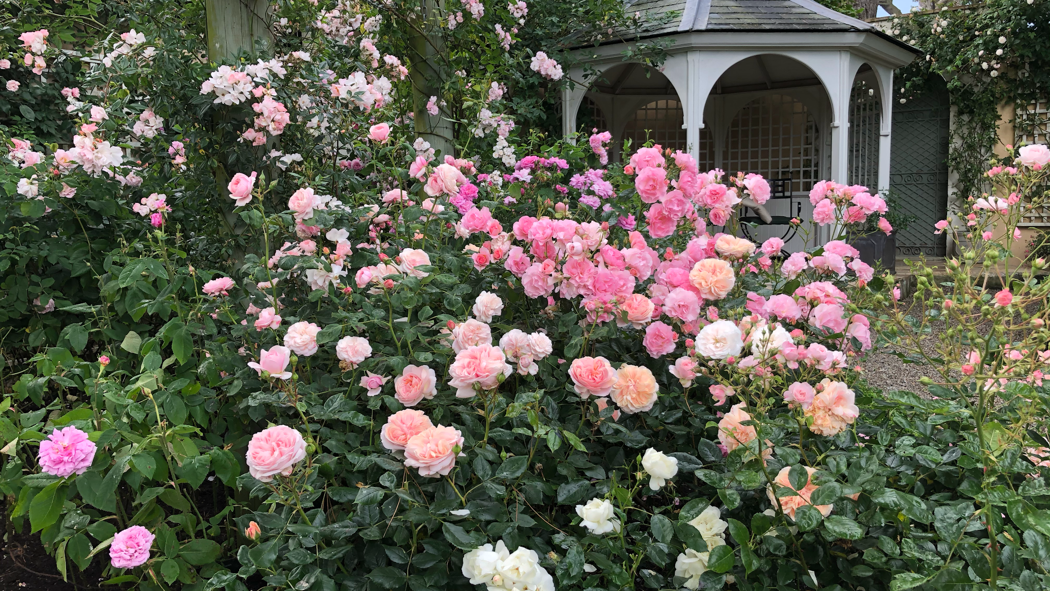 Lamorran Gardens