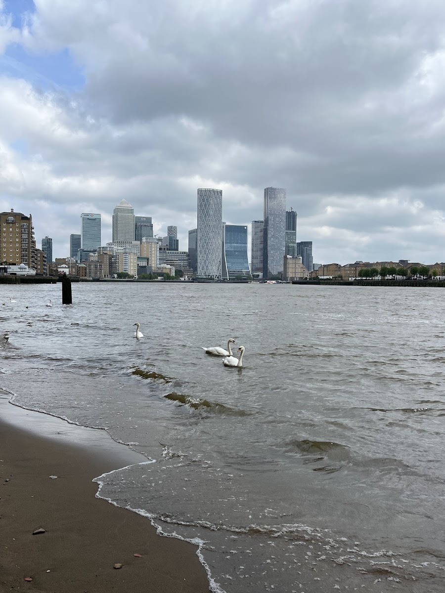 Stepney Beach