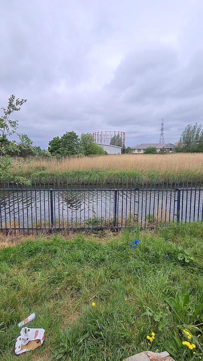 Harts Lane Beach Open Space by River Roding