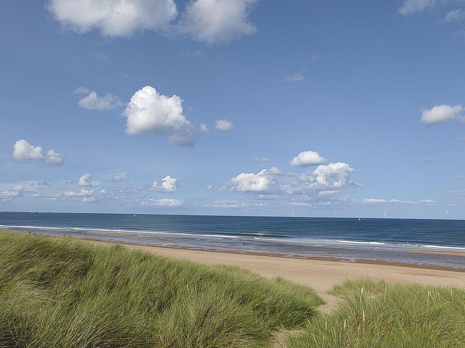 Seaton Sluice Beach