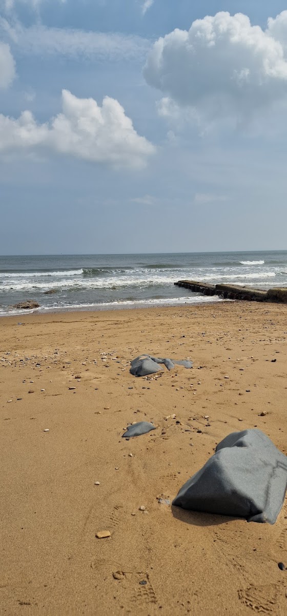 Hendon Beach