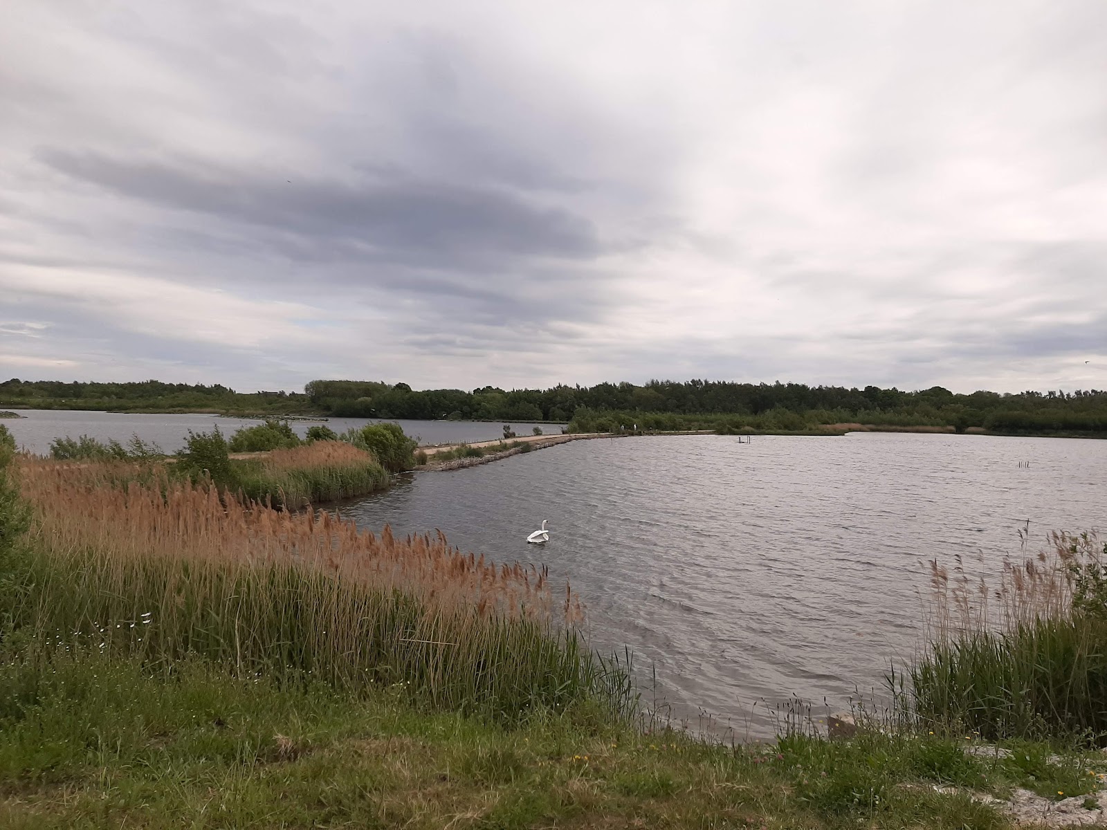 Lemonroyd Lake