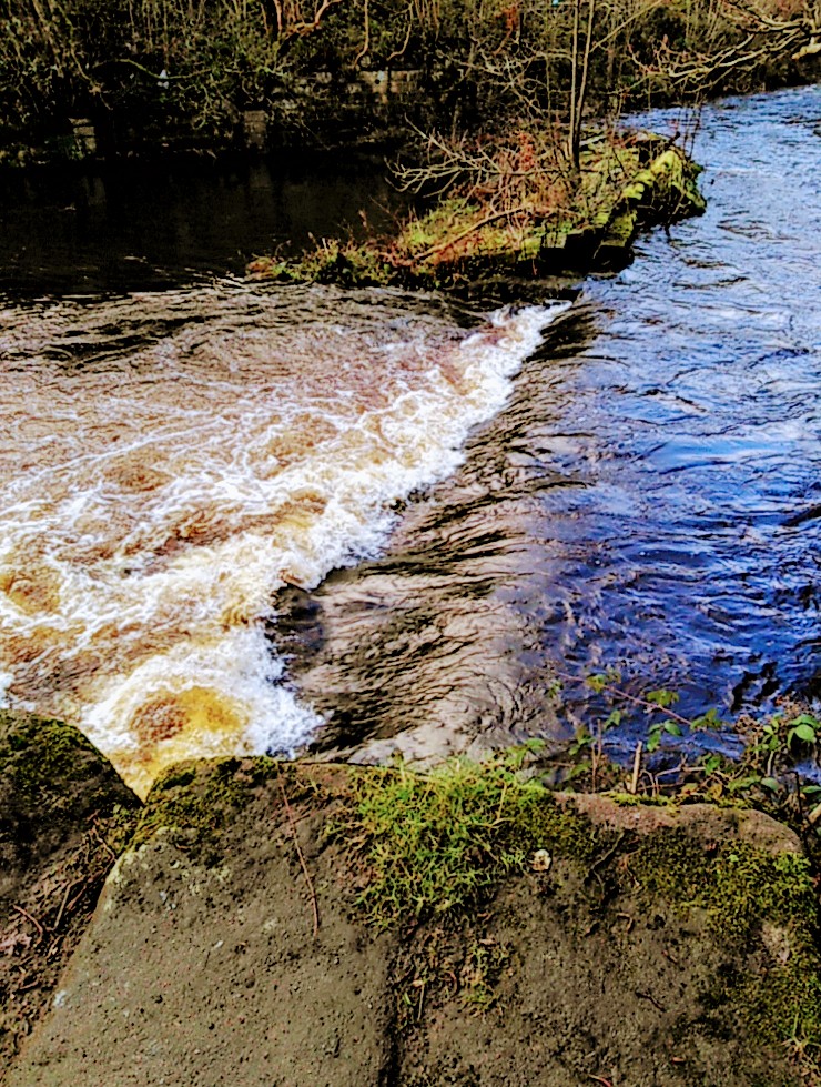 Beeley Wood