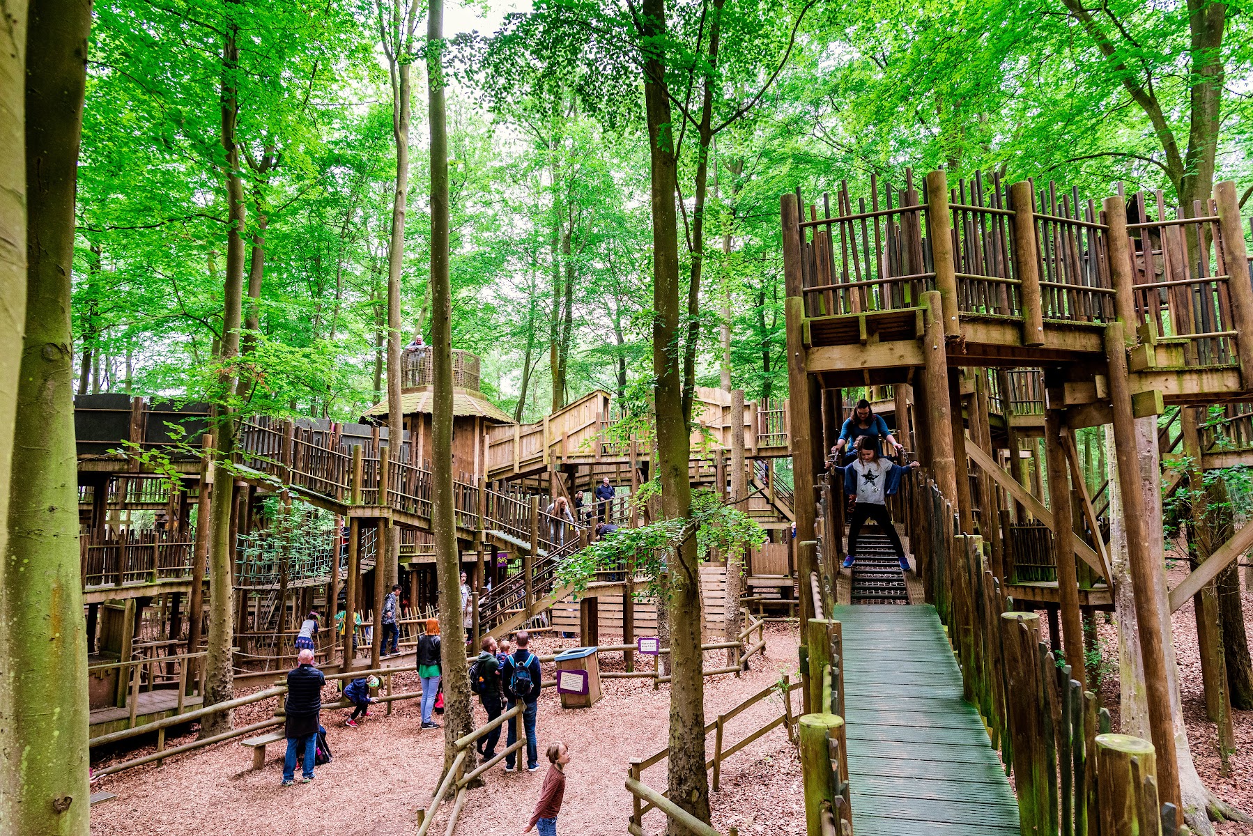 BeWILDerwood Norfolk