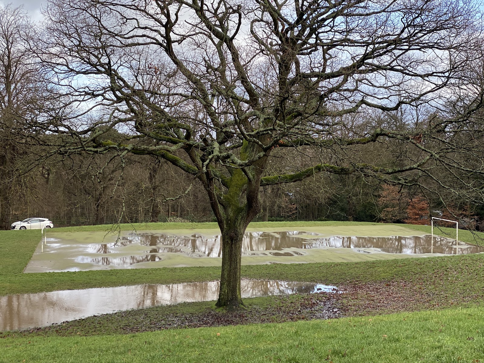 Wadsley Park
