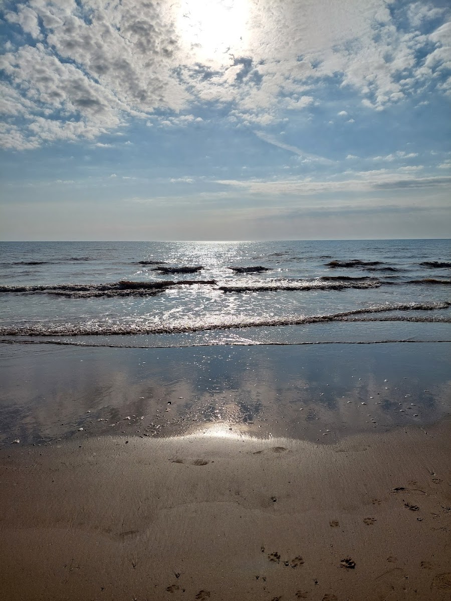 Barmston Beach