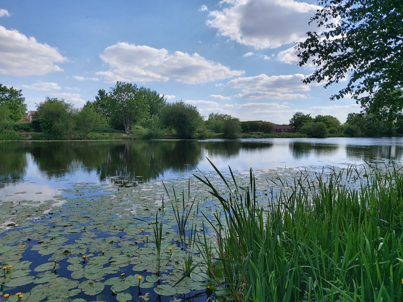 The Secret Lake