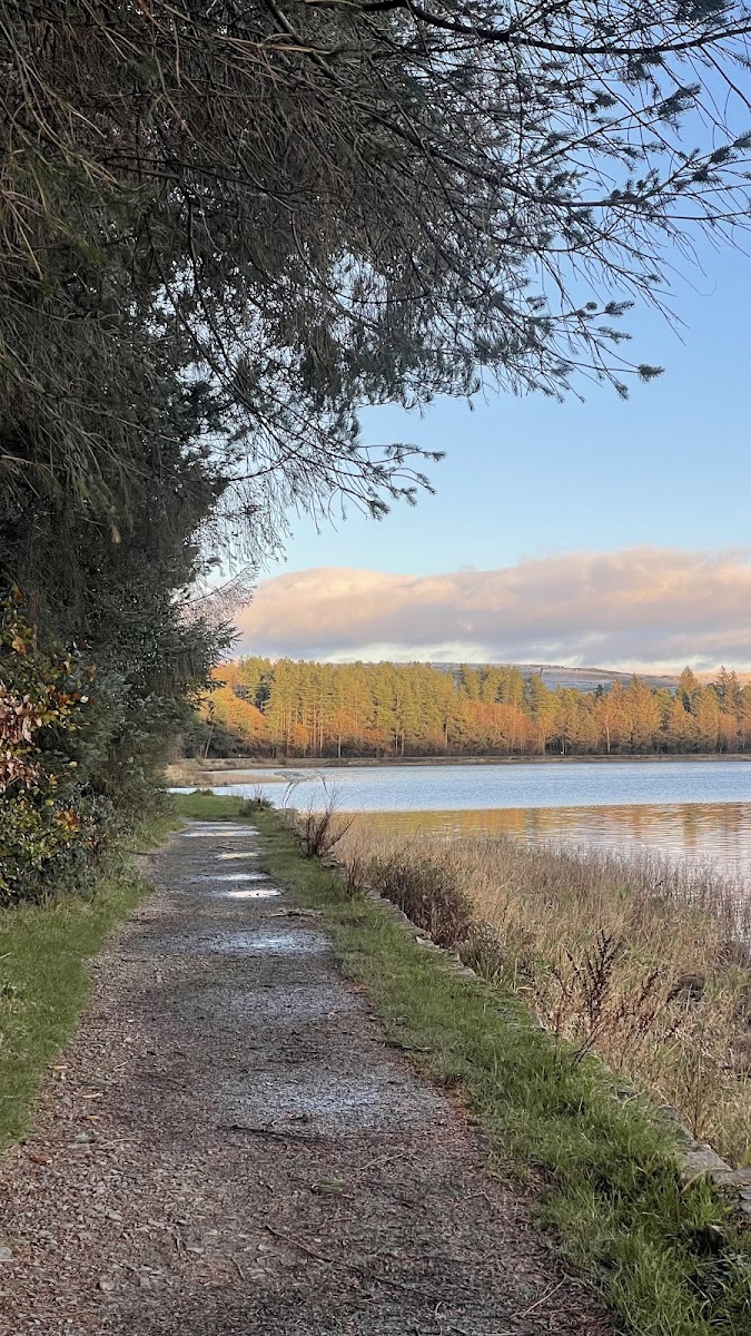 Entwistle Reservoir