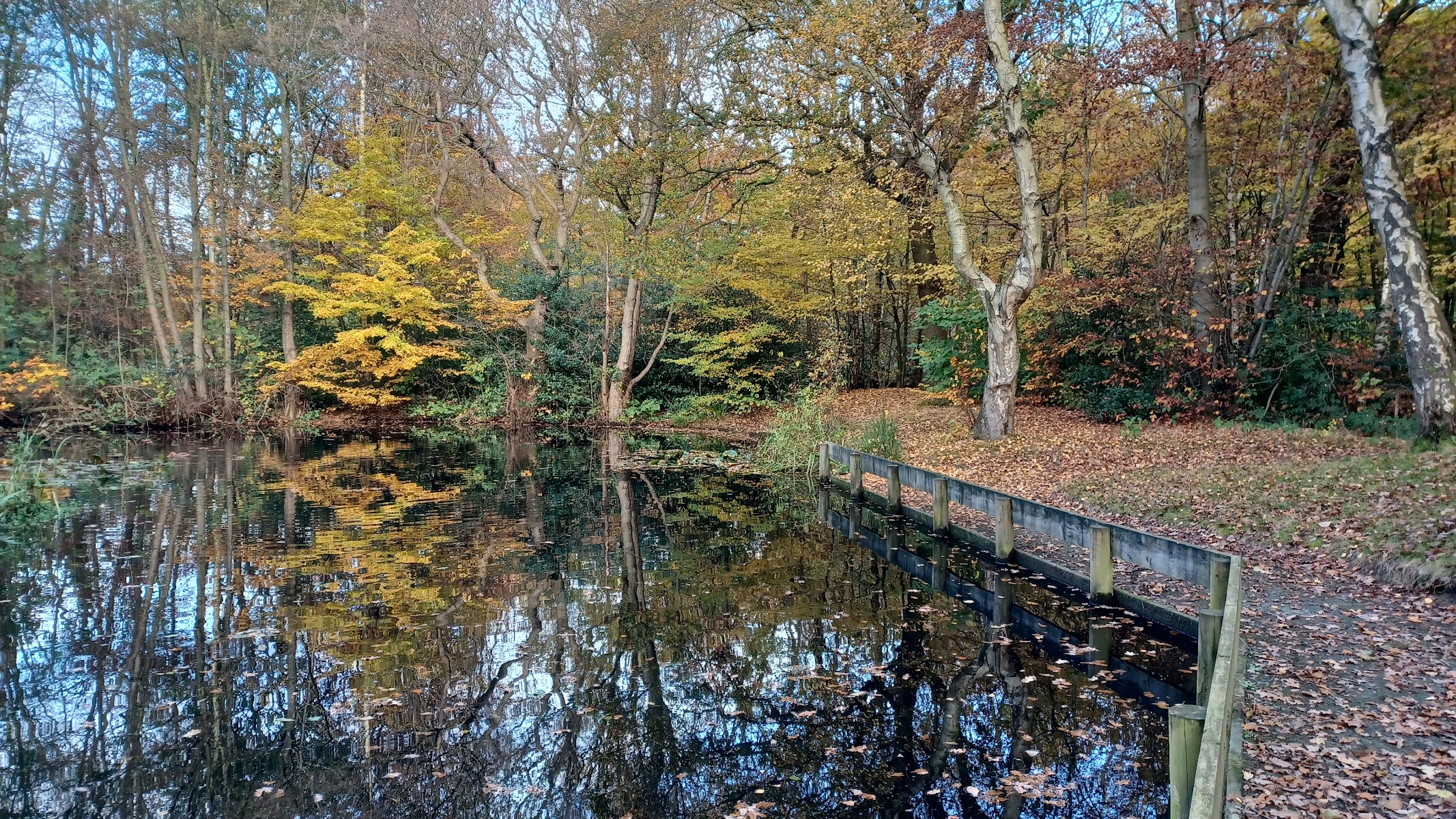 Brownlee's Pool