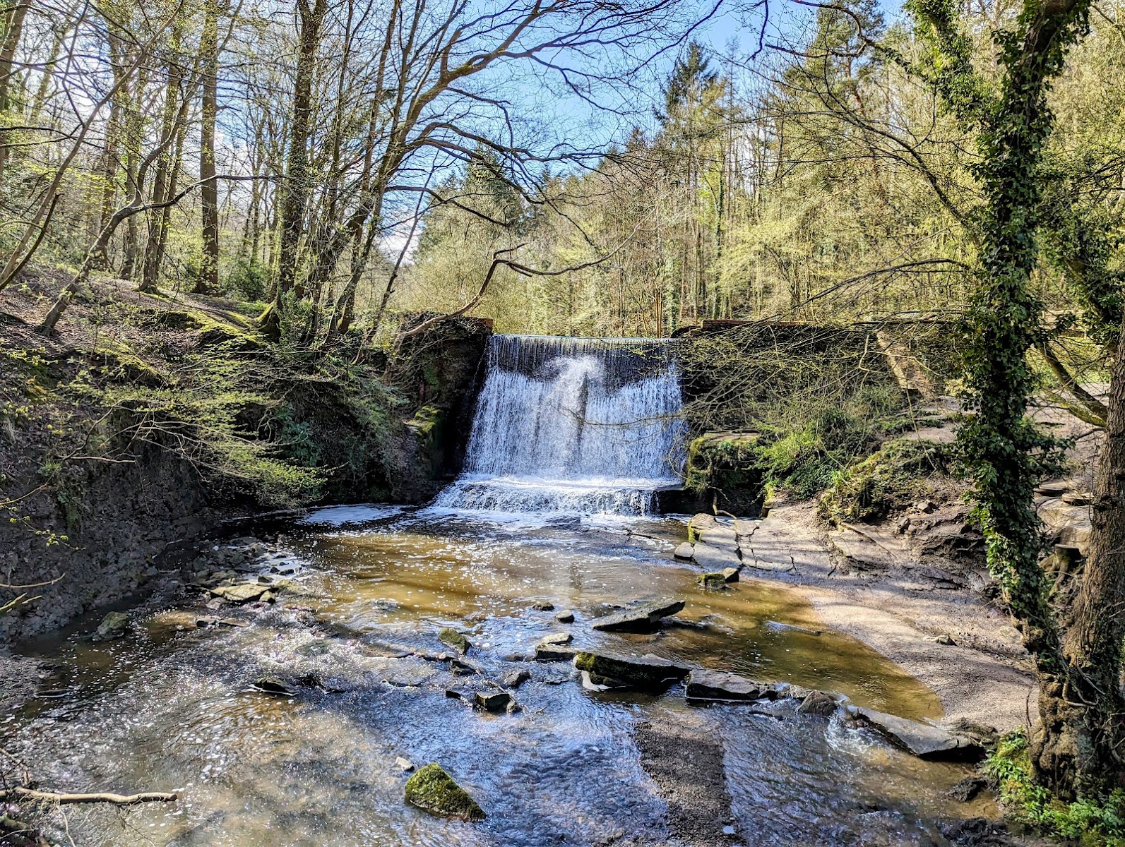 Wepre Park