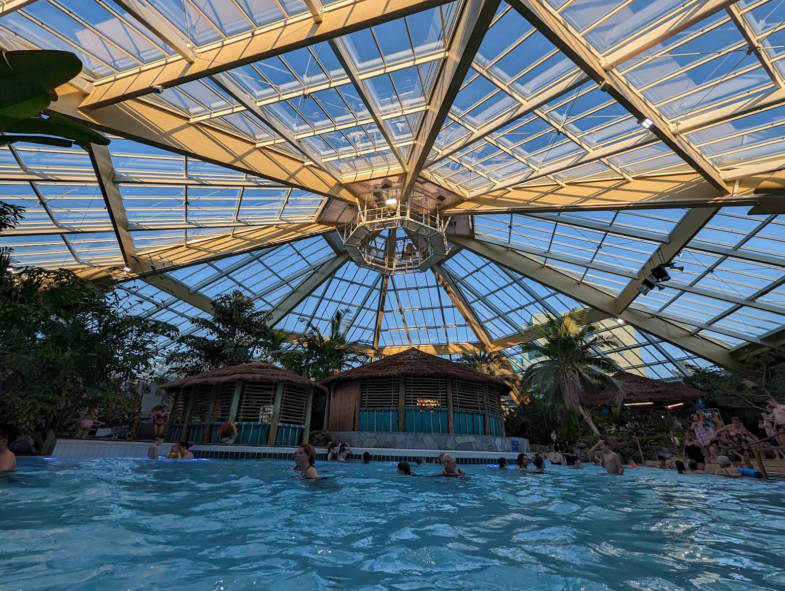 Tropical Cyclone in the Subtropical Swimming Paradise