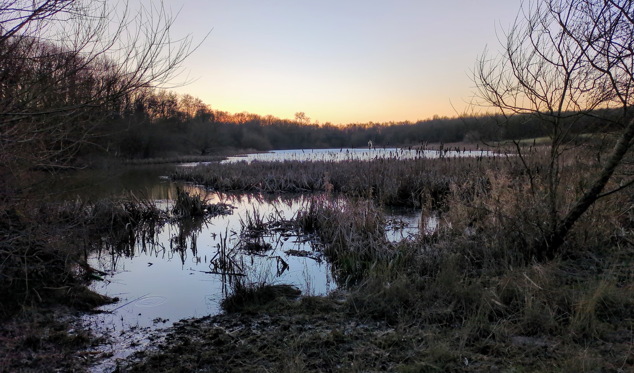 Saltersford Brook