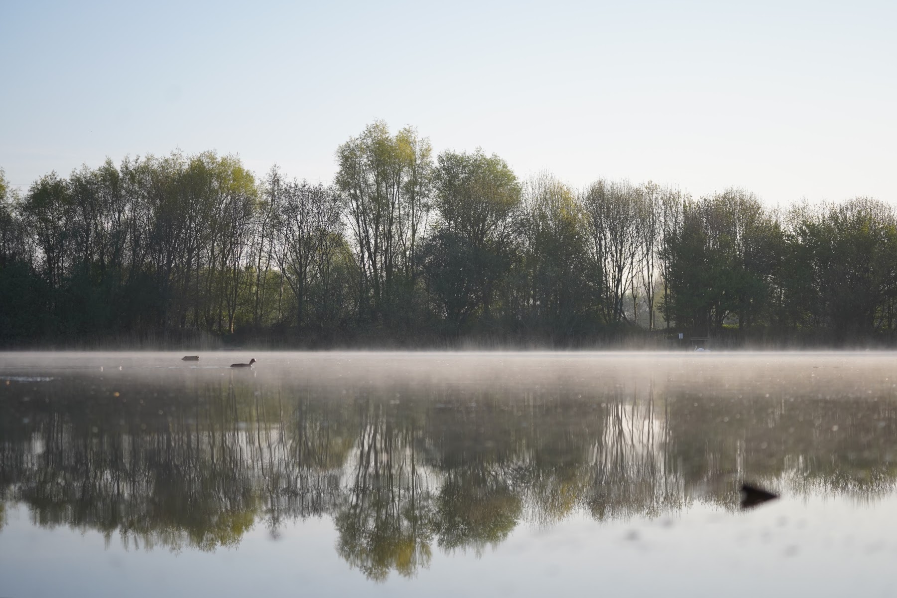 Dishley Pool