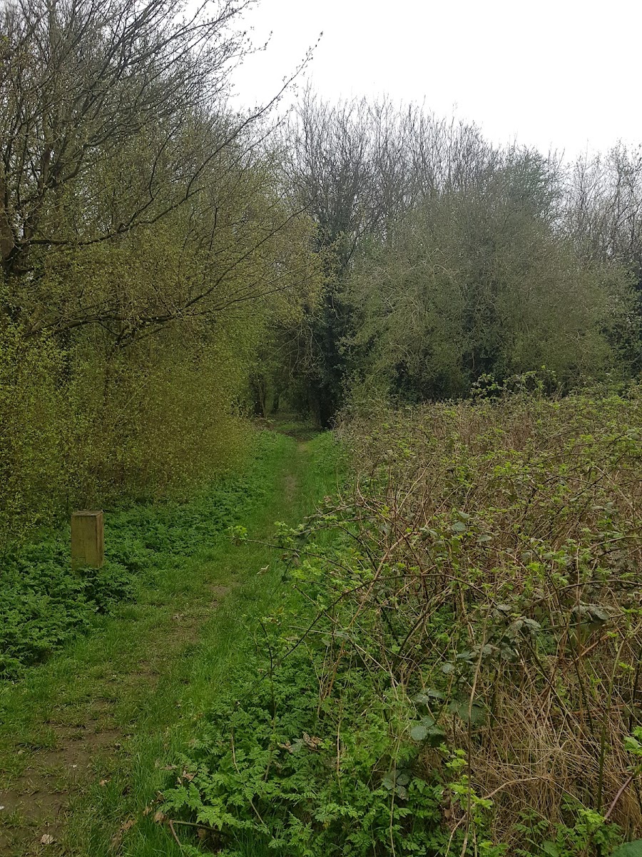 Humberstone Park