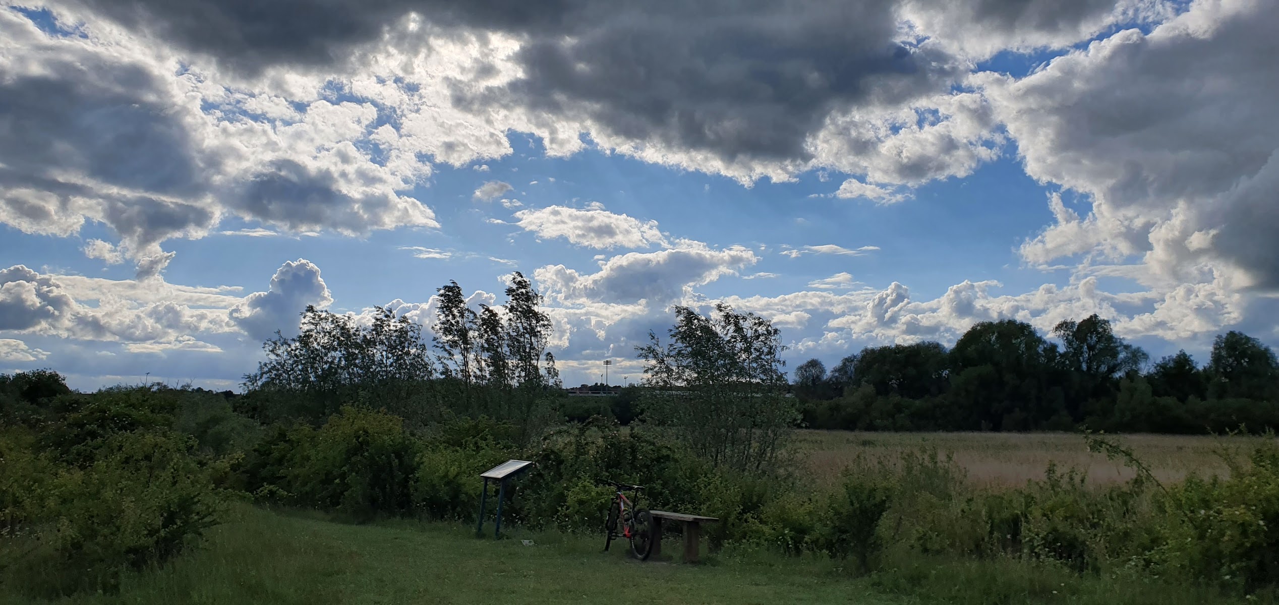 Storton's Pits