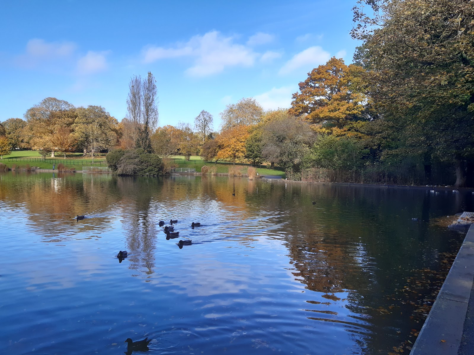 Abington Park - East (Lakes) side