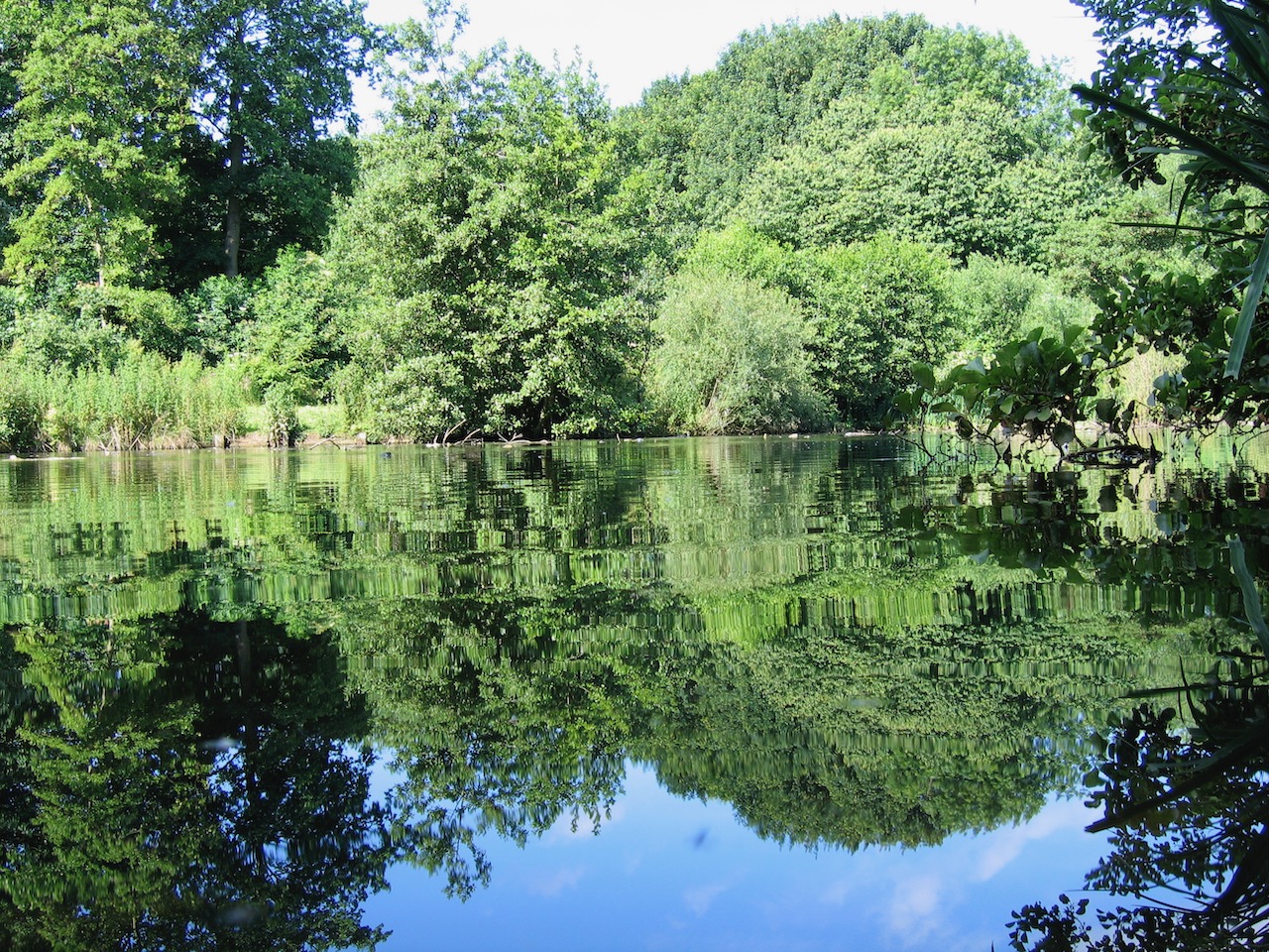 Dragonfly Lake