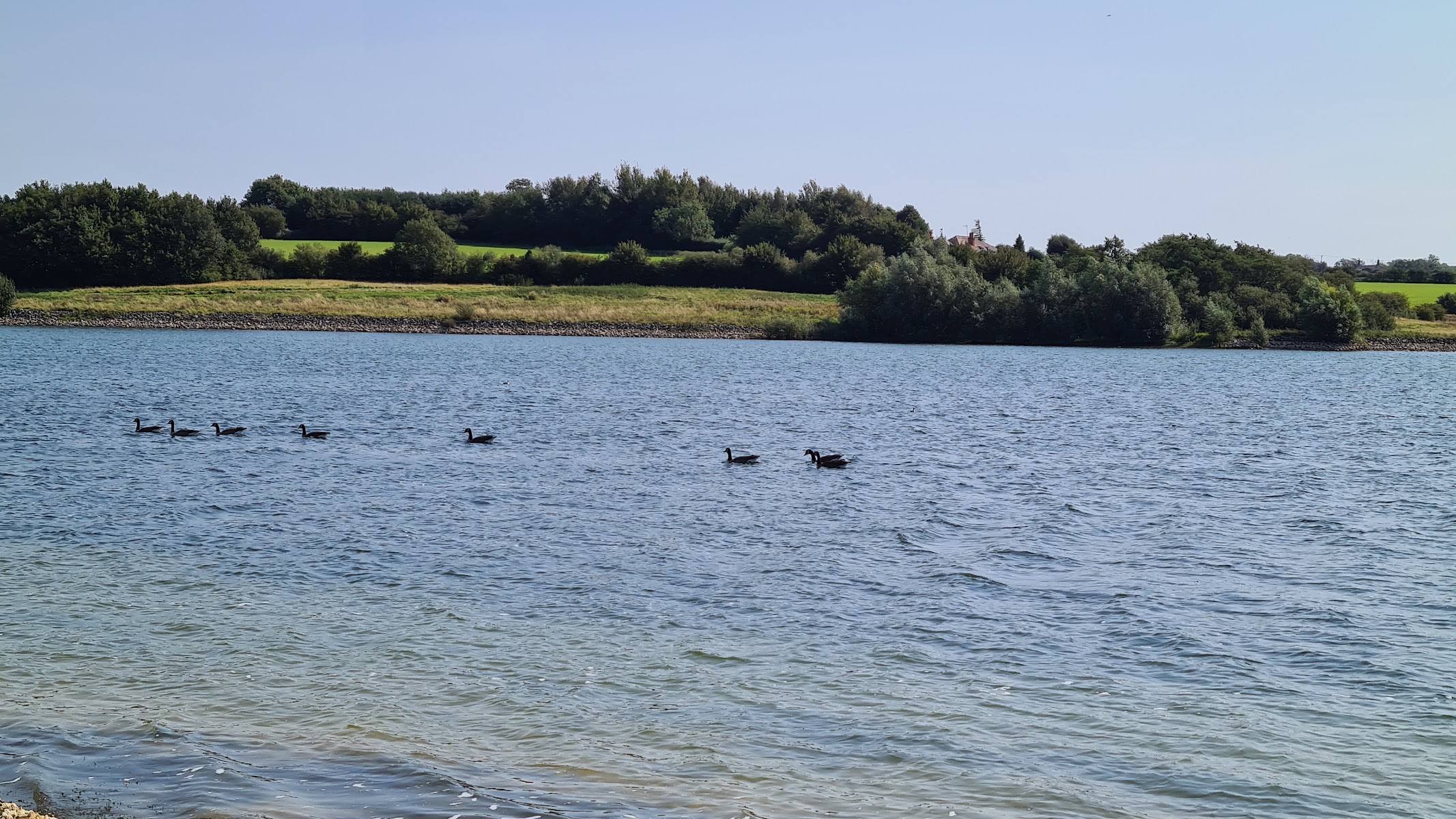 Pitsford water