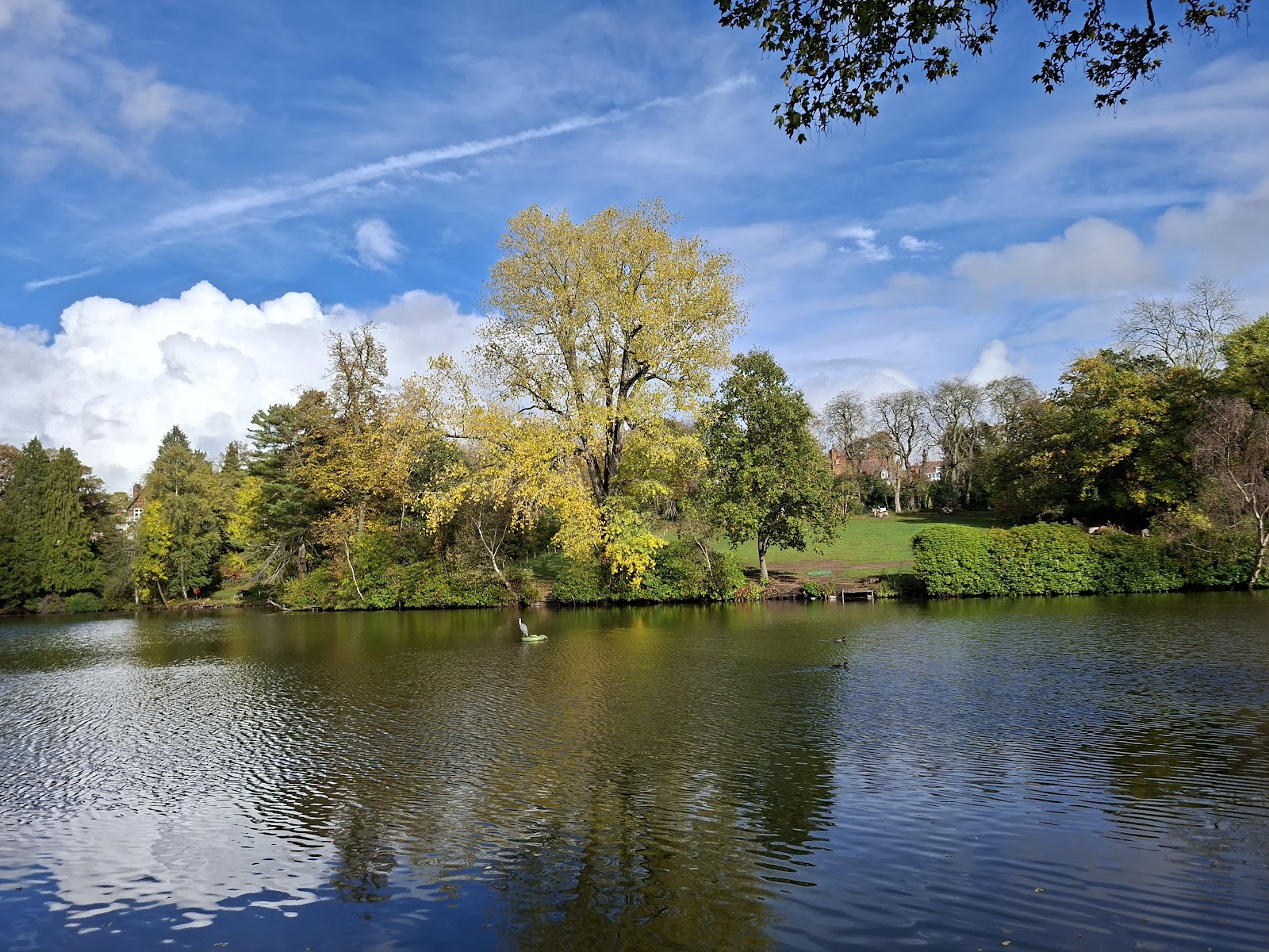 Moseley Park and Pool