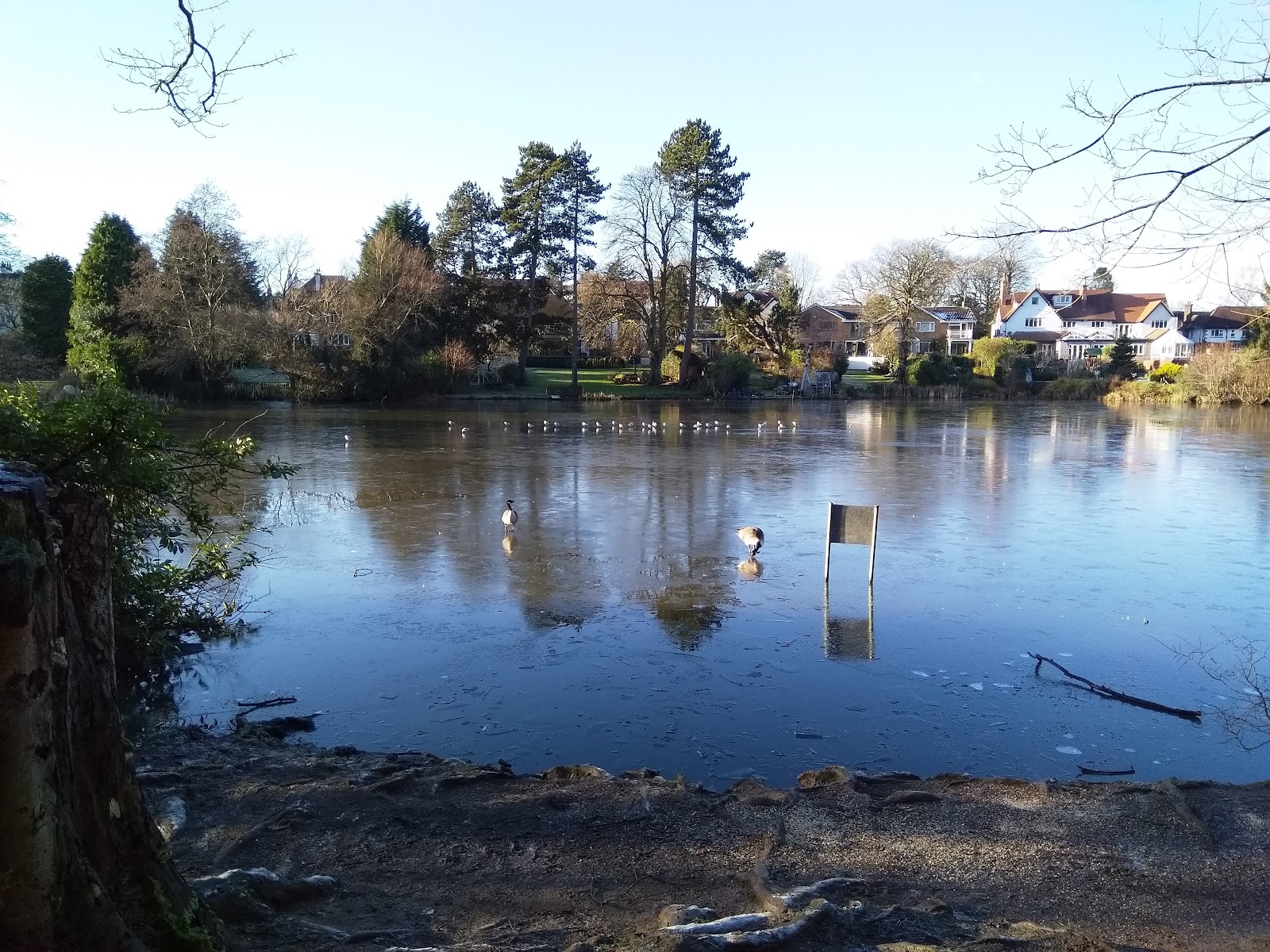 Merecroft Pool