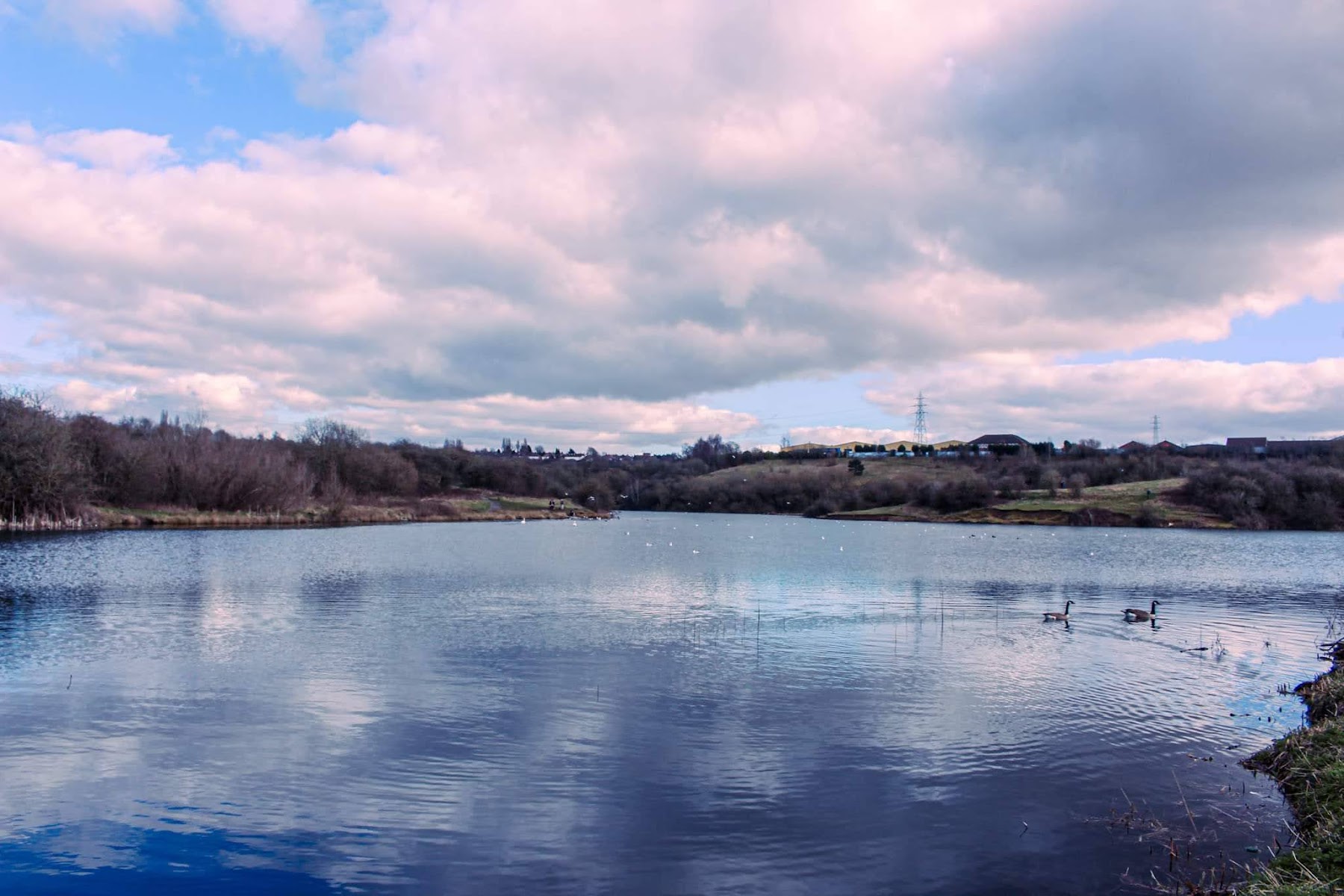 Buckpool and Fens Pool Local Nature Reserve