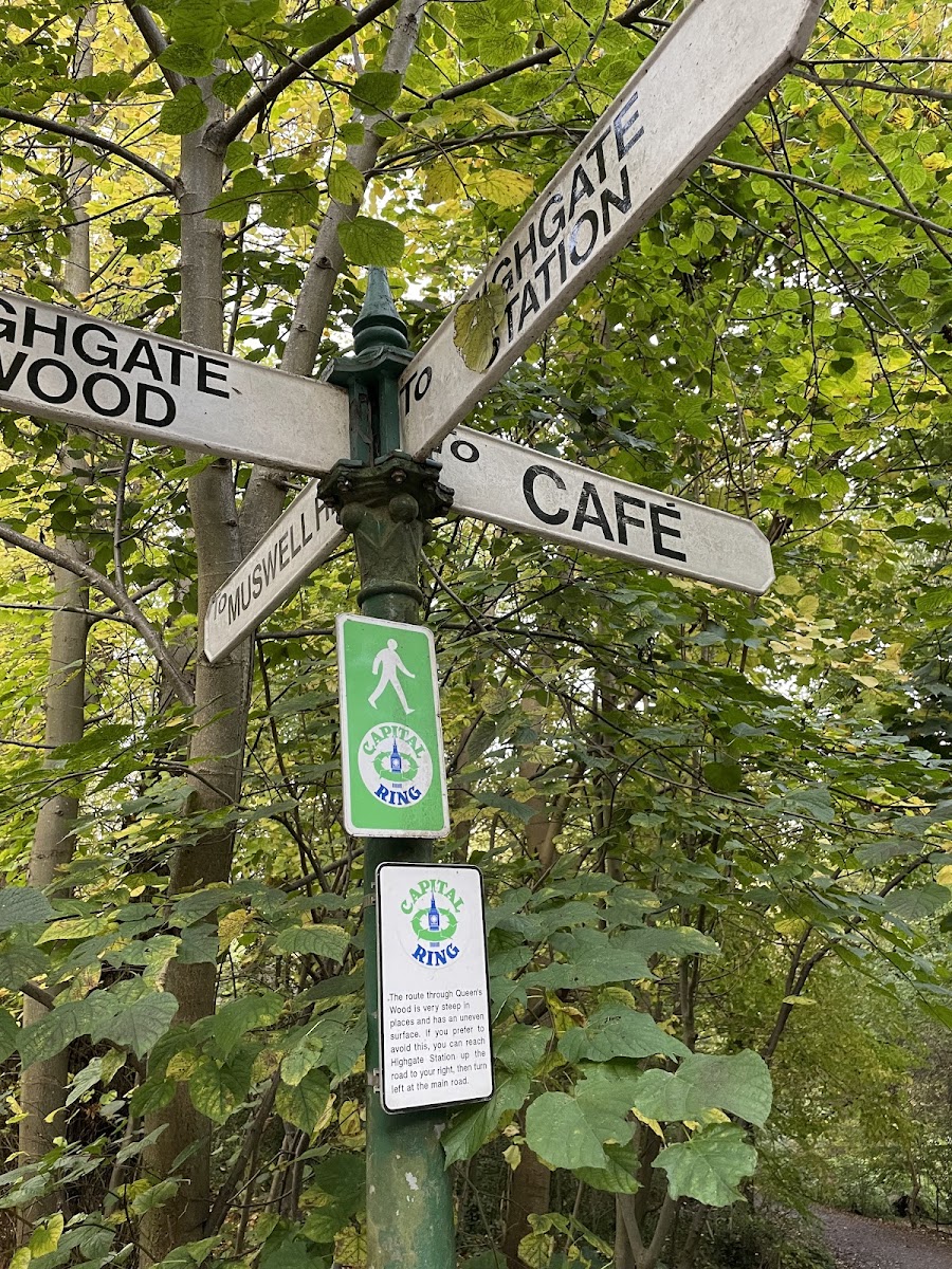 Queen's Wood