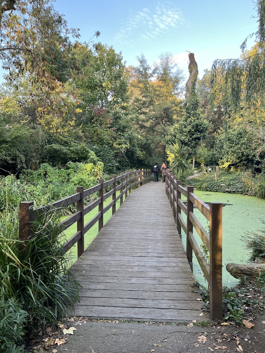 New River Walk