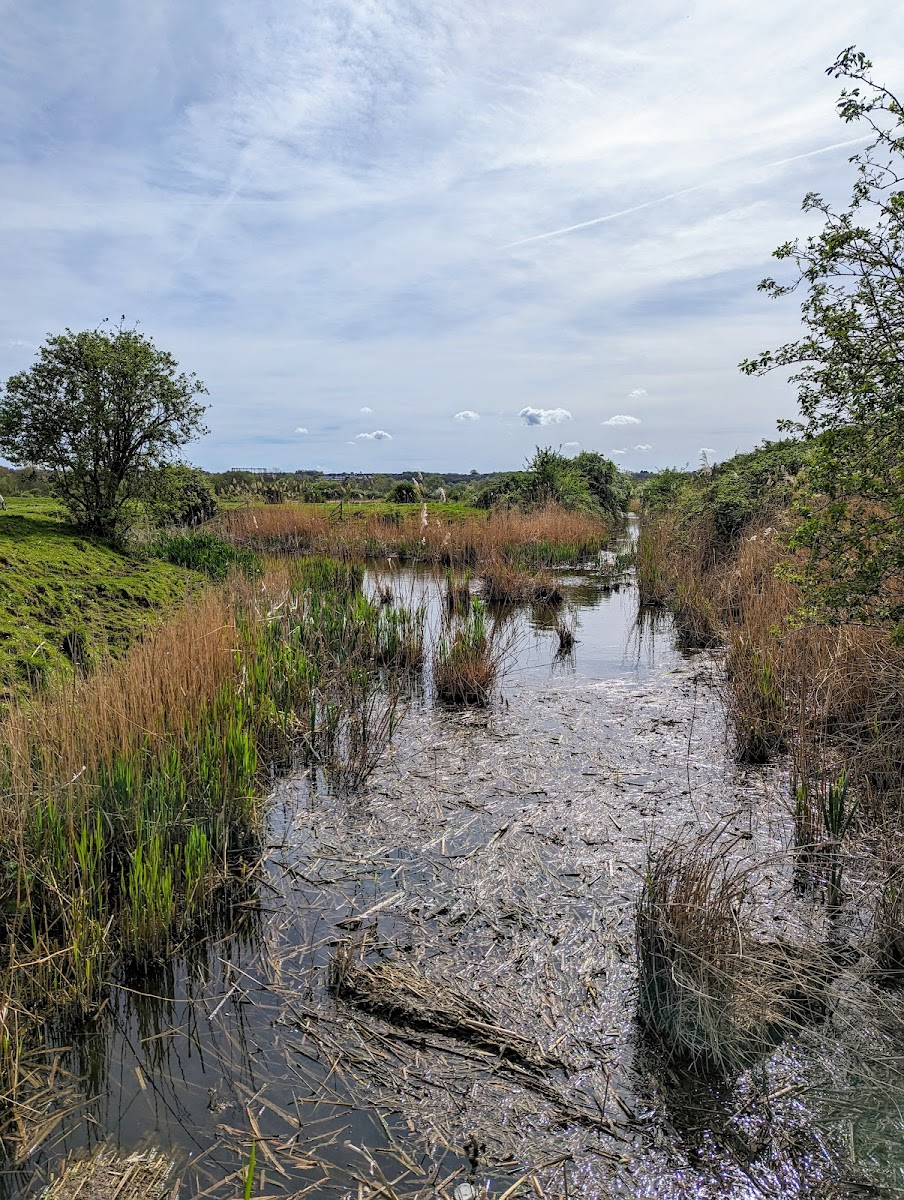 Crossness Nature Reserve