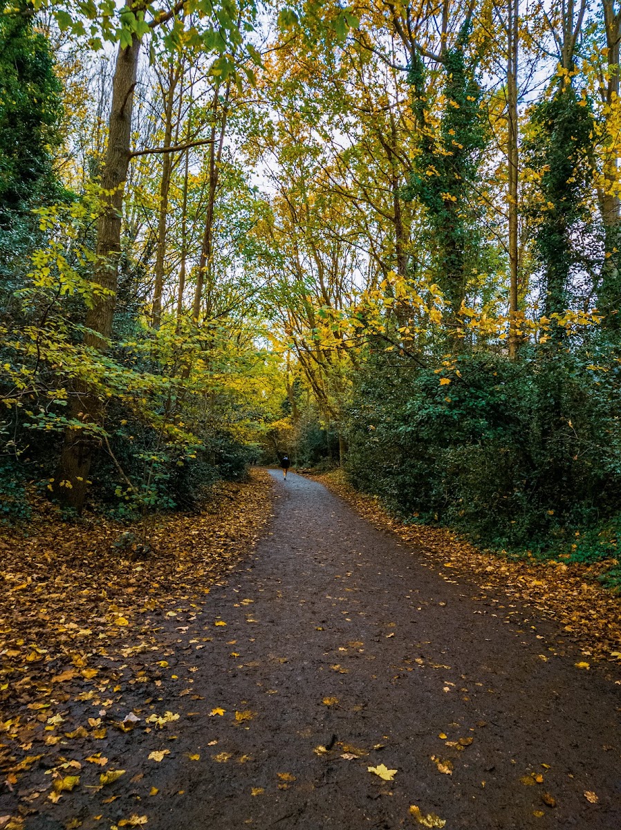 Parkland Walk