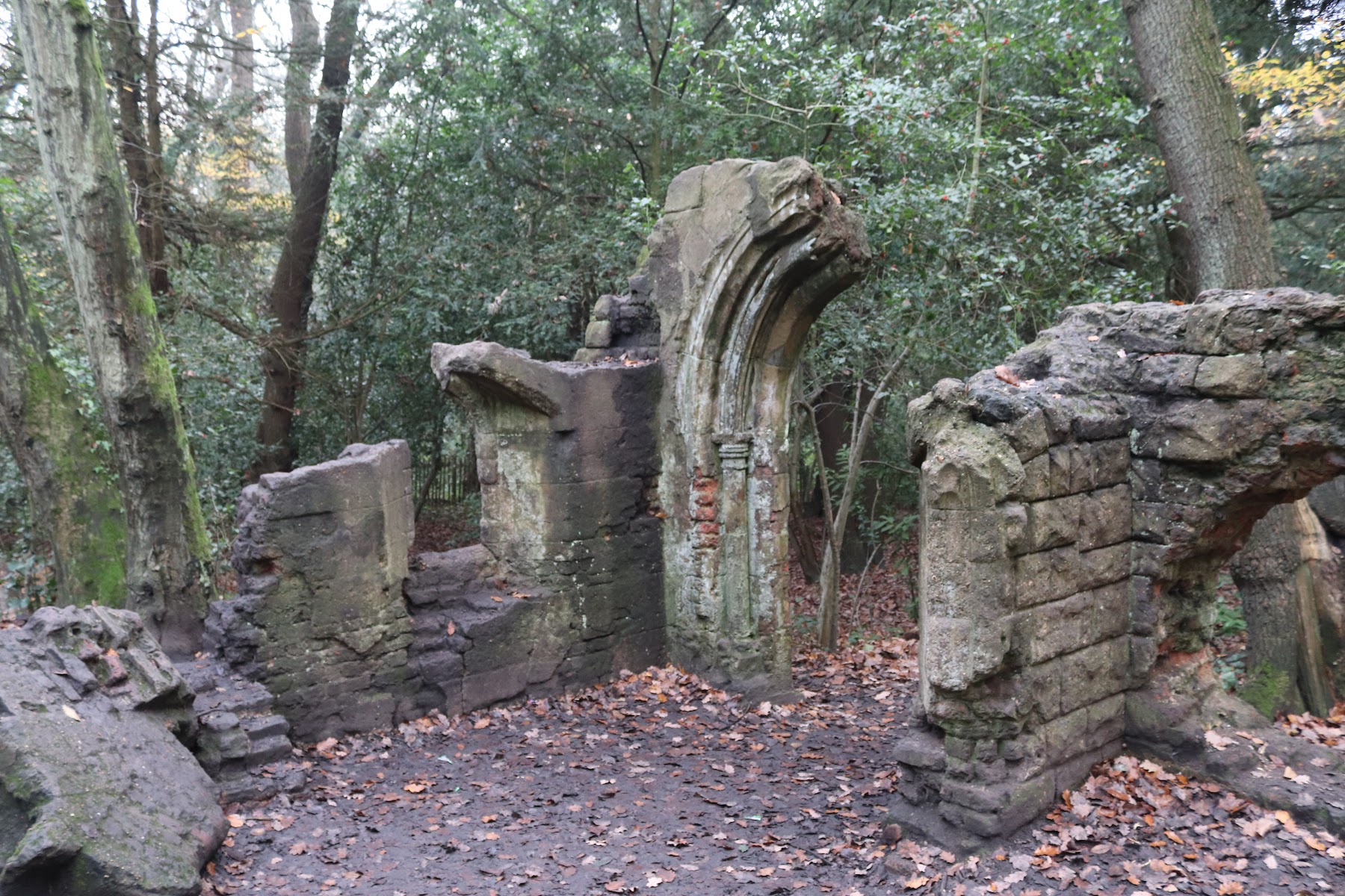 Sydenham Hill Wood