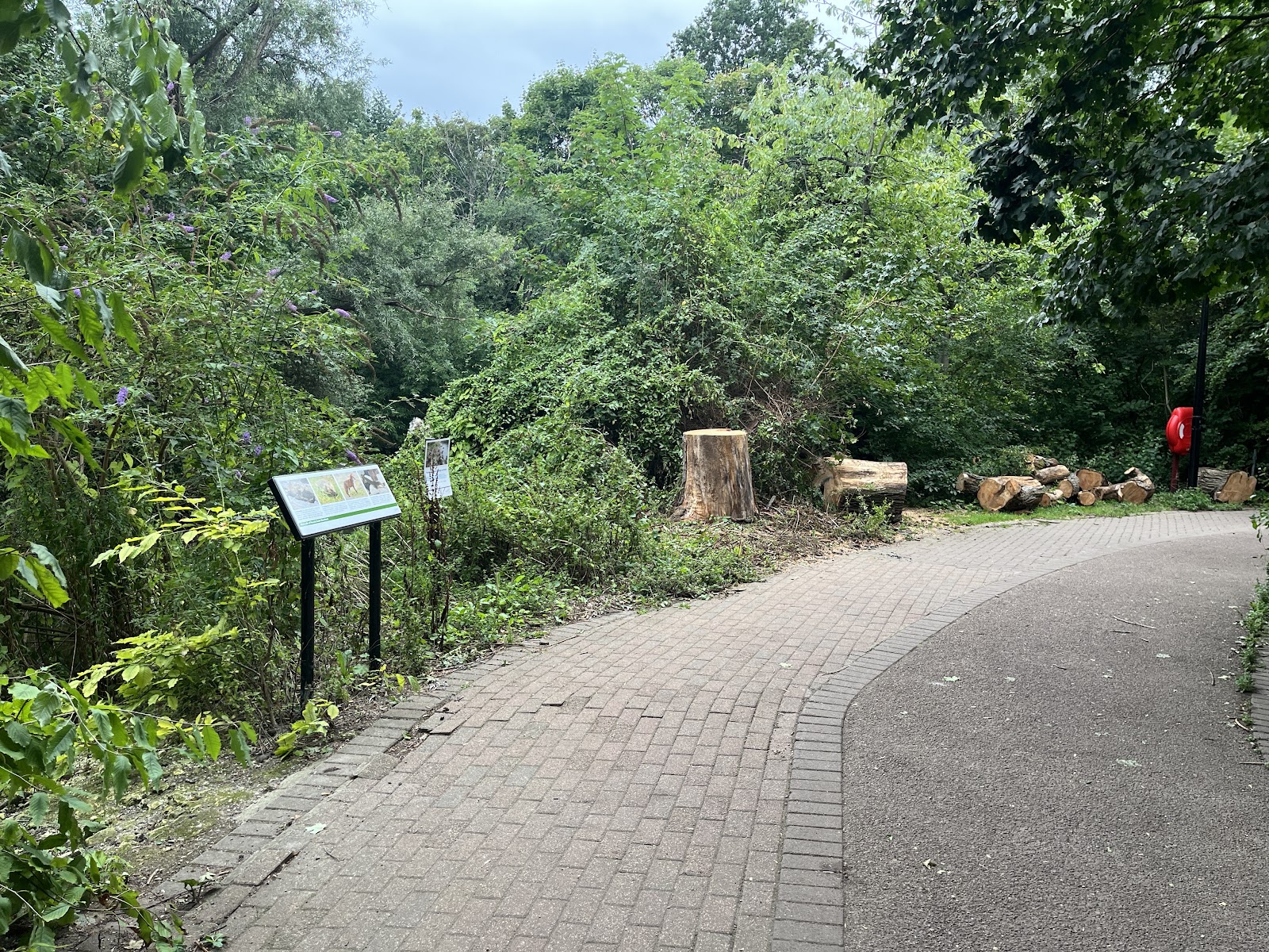 Globe Pond Nature Reserve