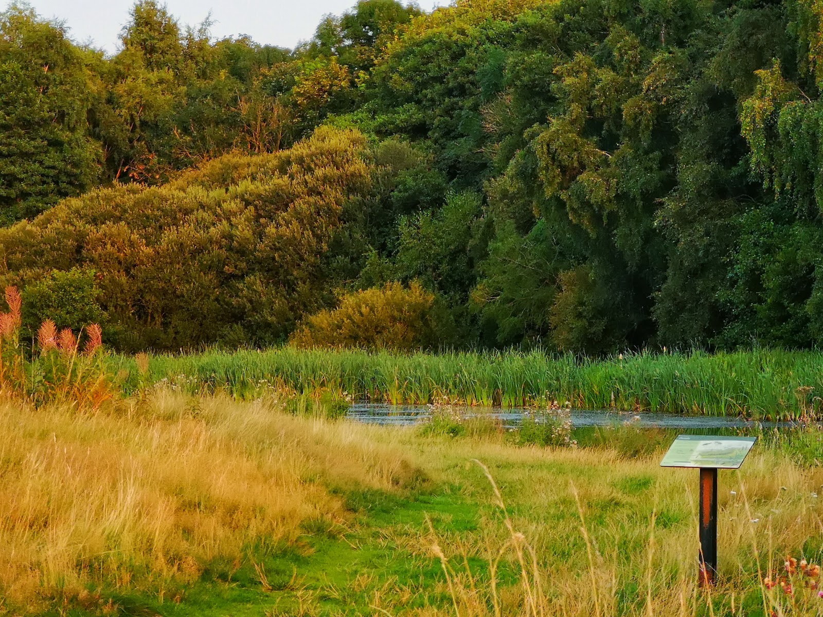 Ryton Willows