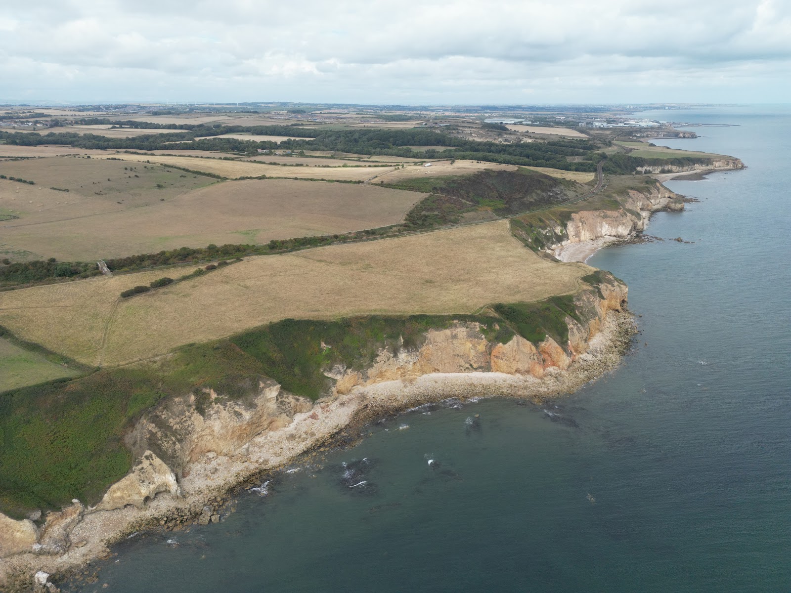 Easington Colliery Local Nature Reserve
