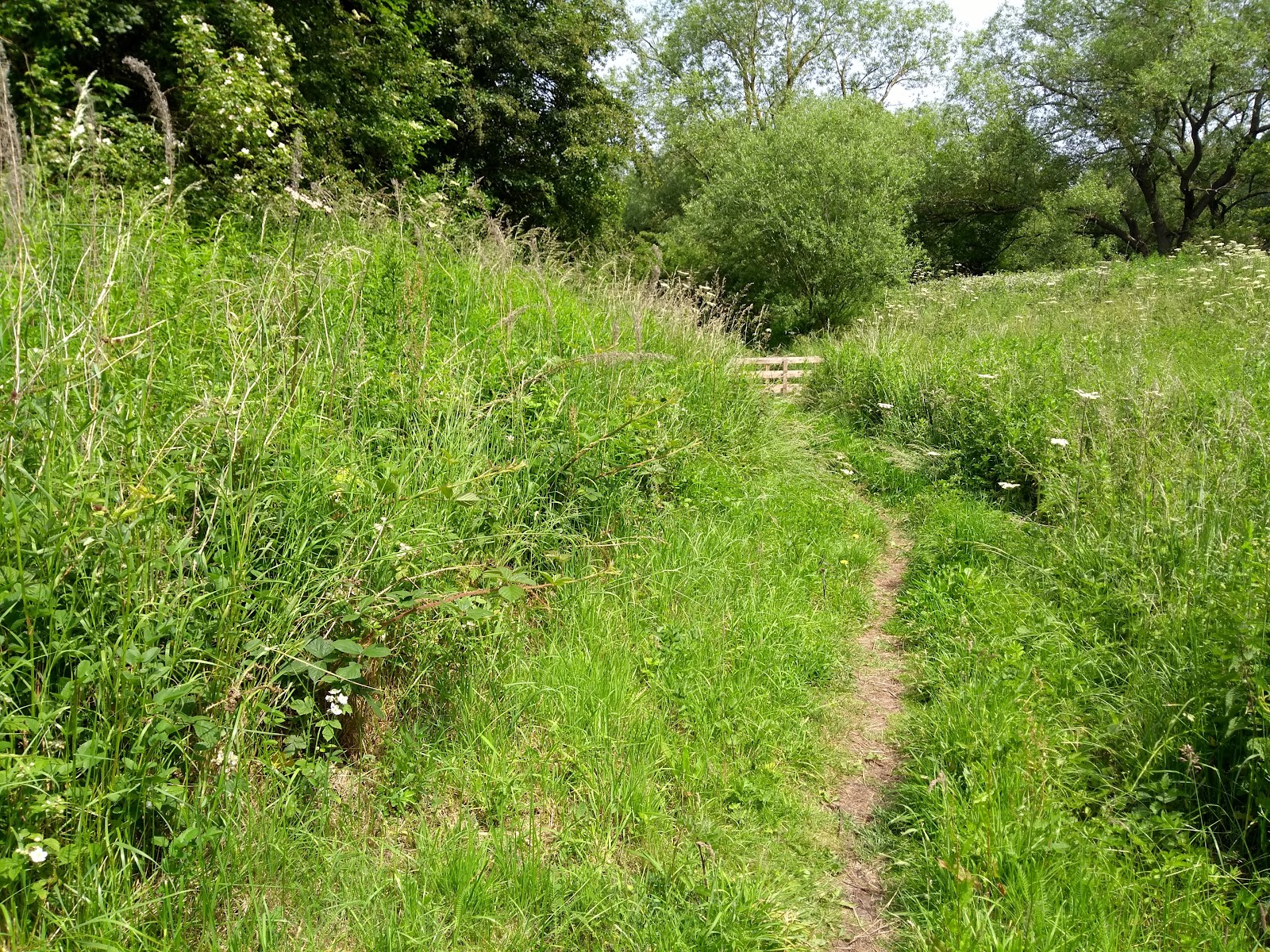 Bonny Grove Nature Reserve
