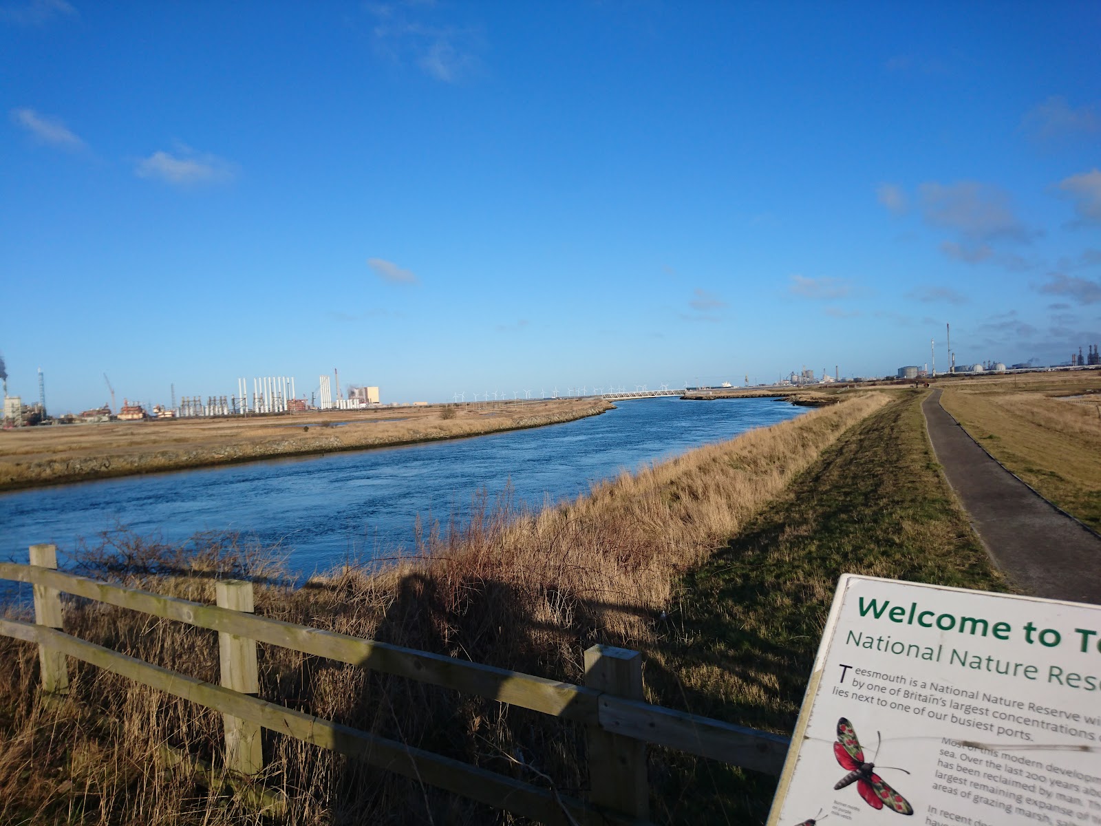 Teesmouth National Nature Reserve