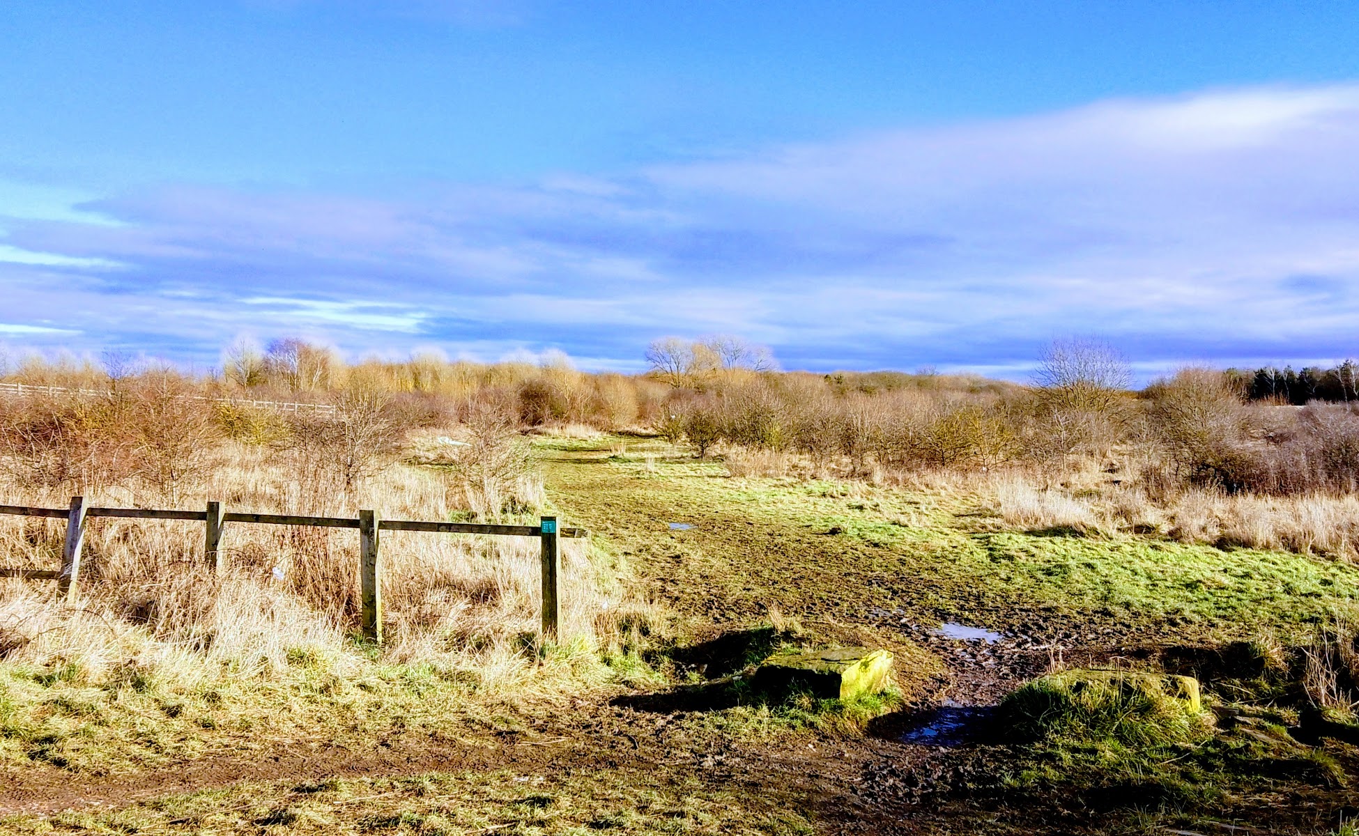 South Burdon Community Woodland