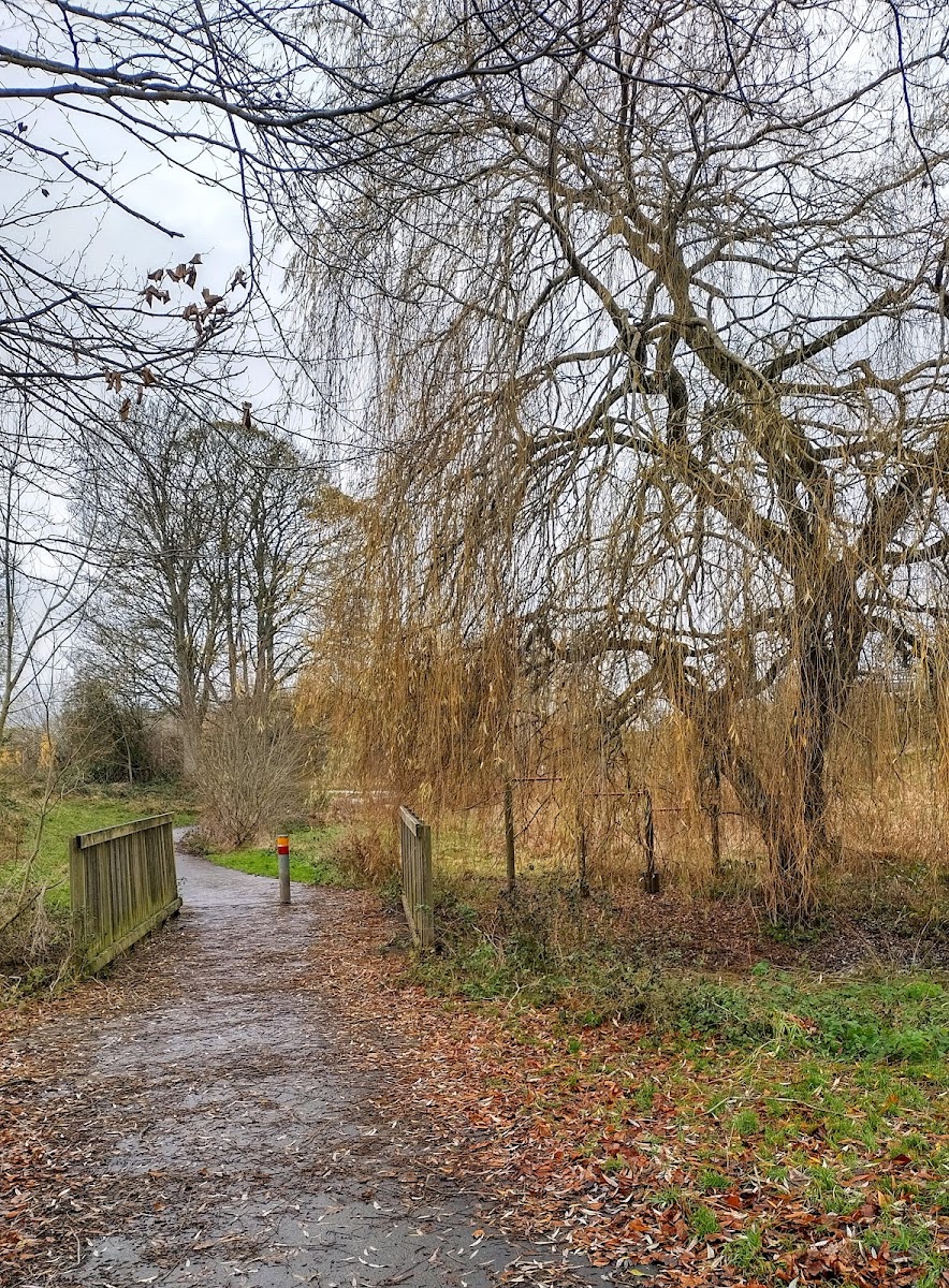 Cocker Beck Nature Reserve