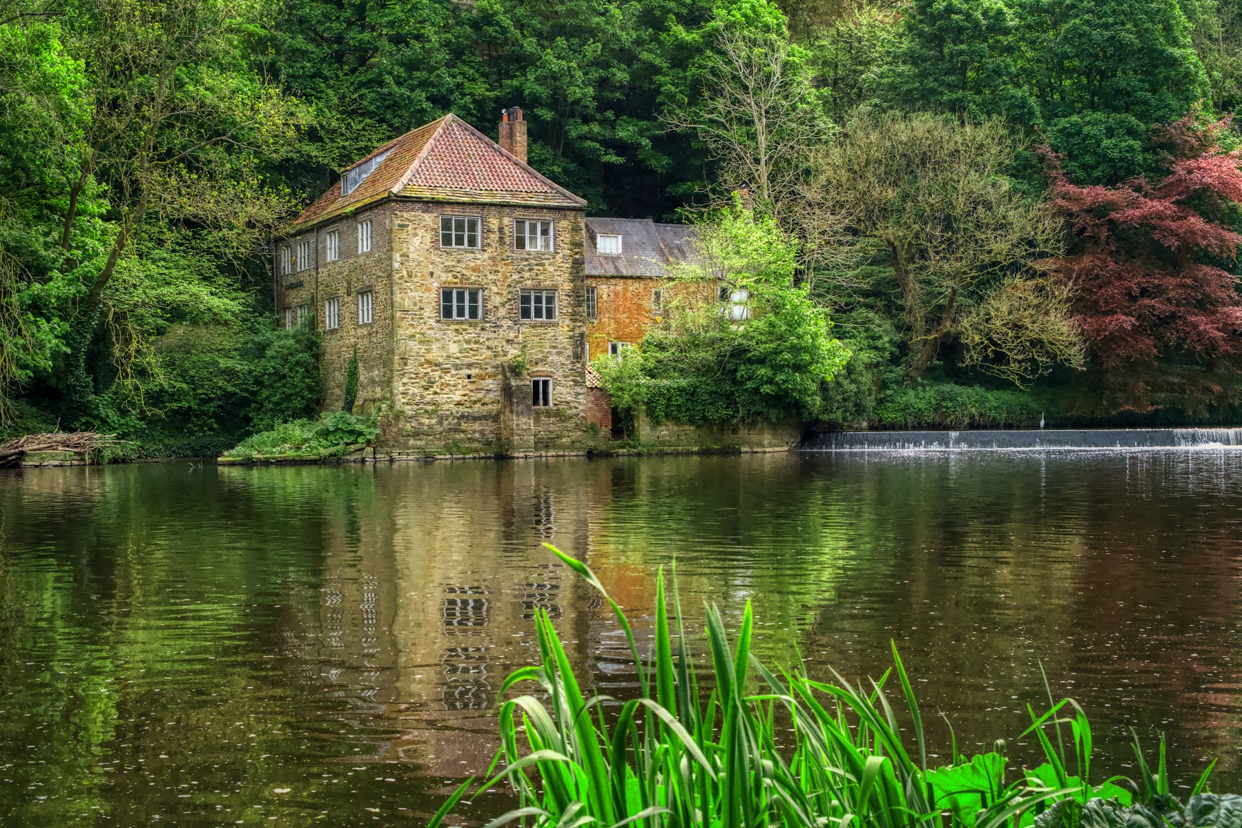 Riverside walk