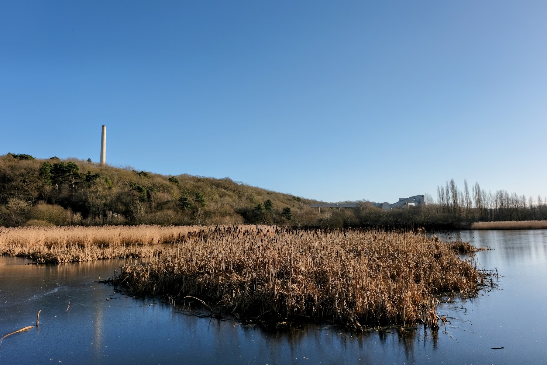 Ferryhill Carrs Nature Reserve