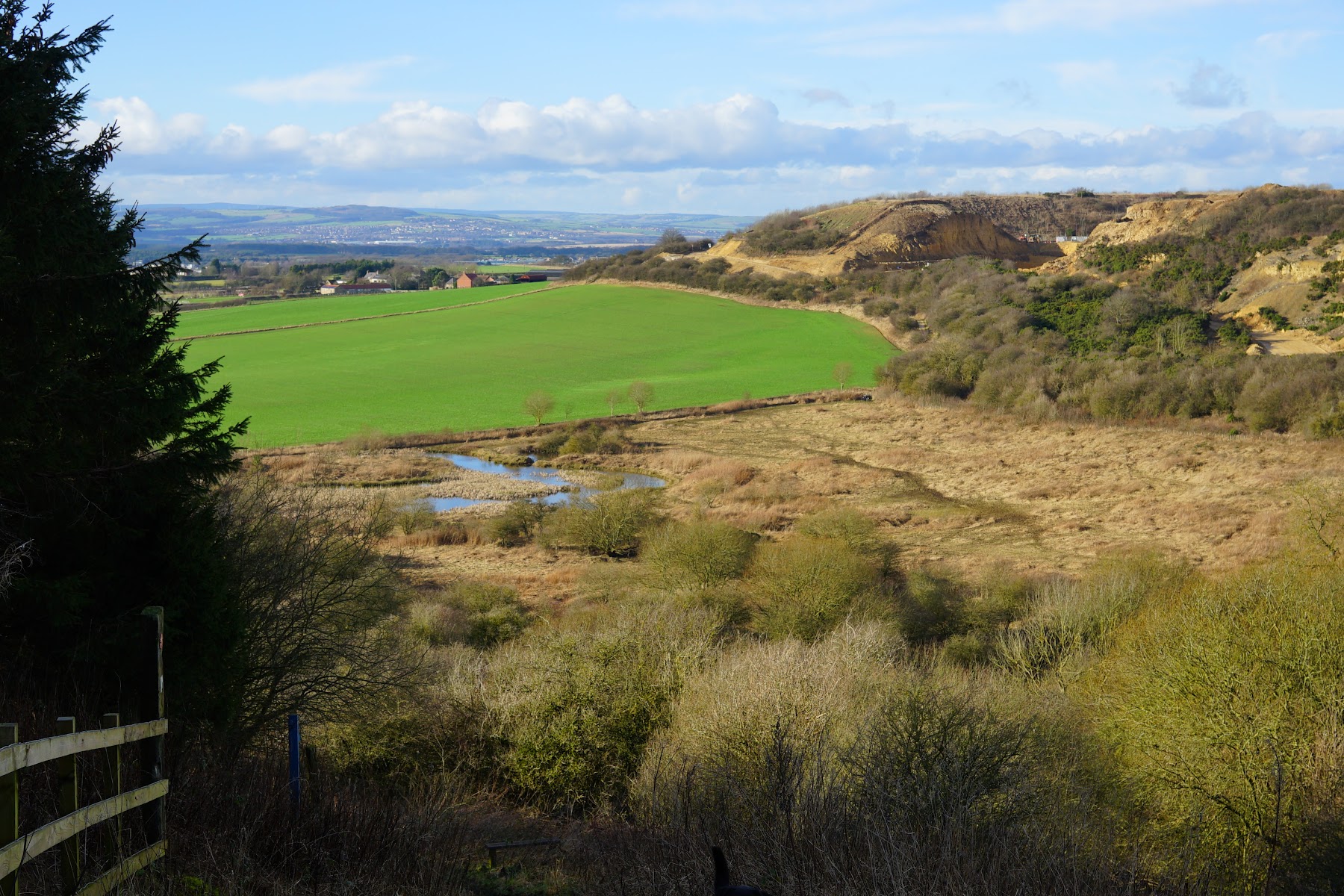 Crowtrees Local Nature Reserve