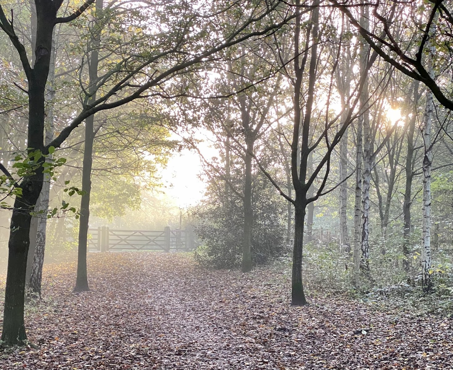 Grogan's Walk