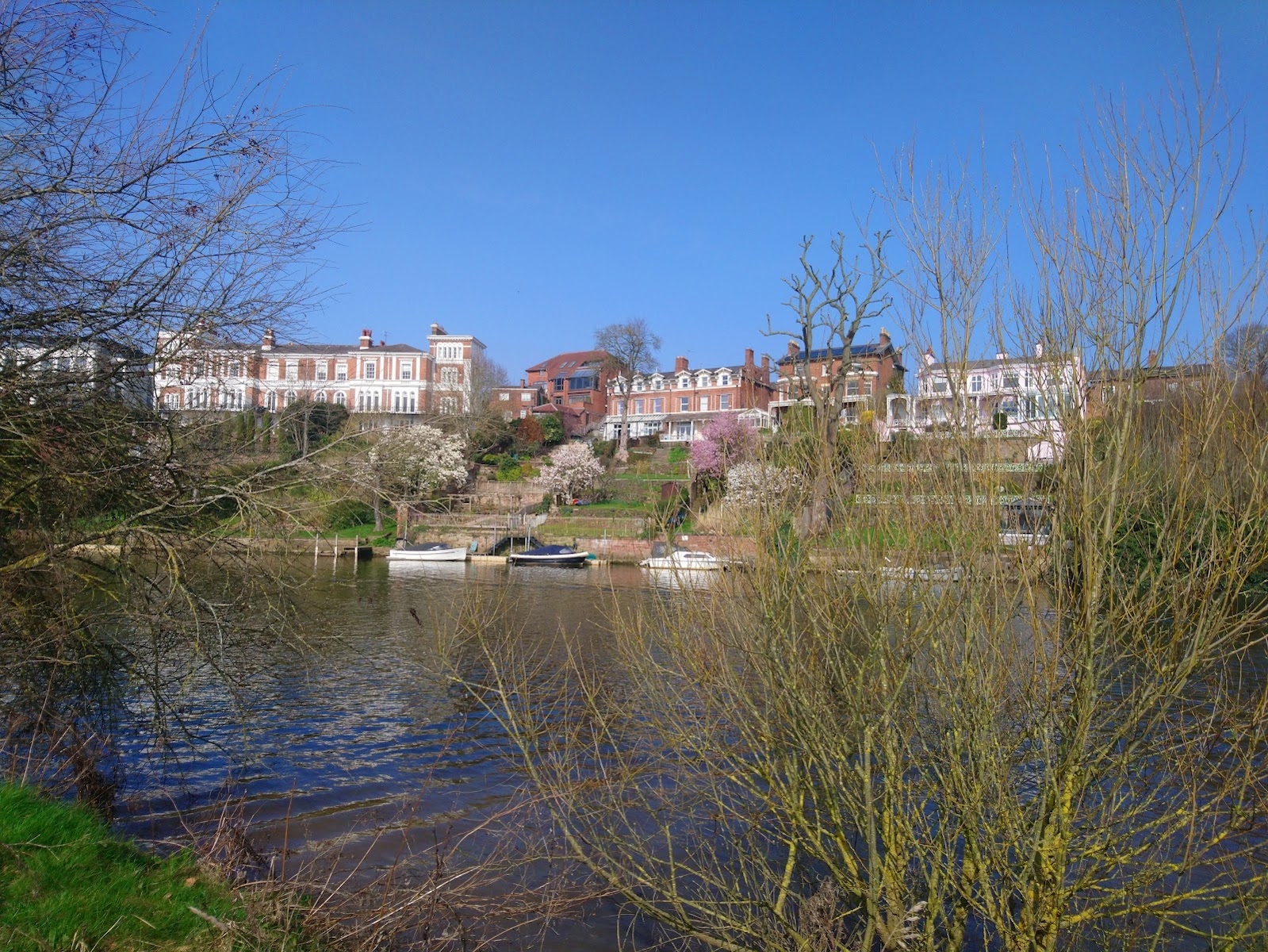 Chester Meadows