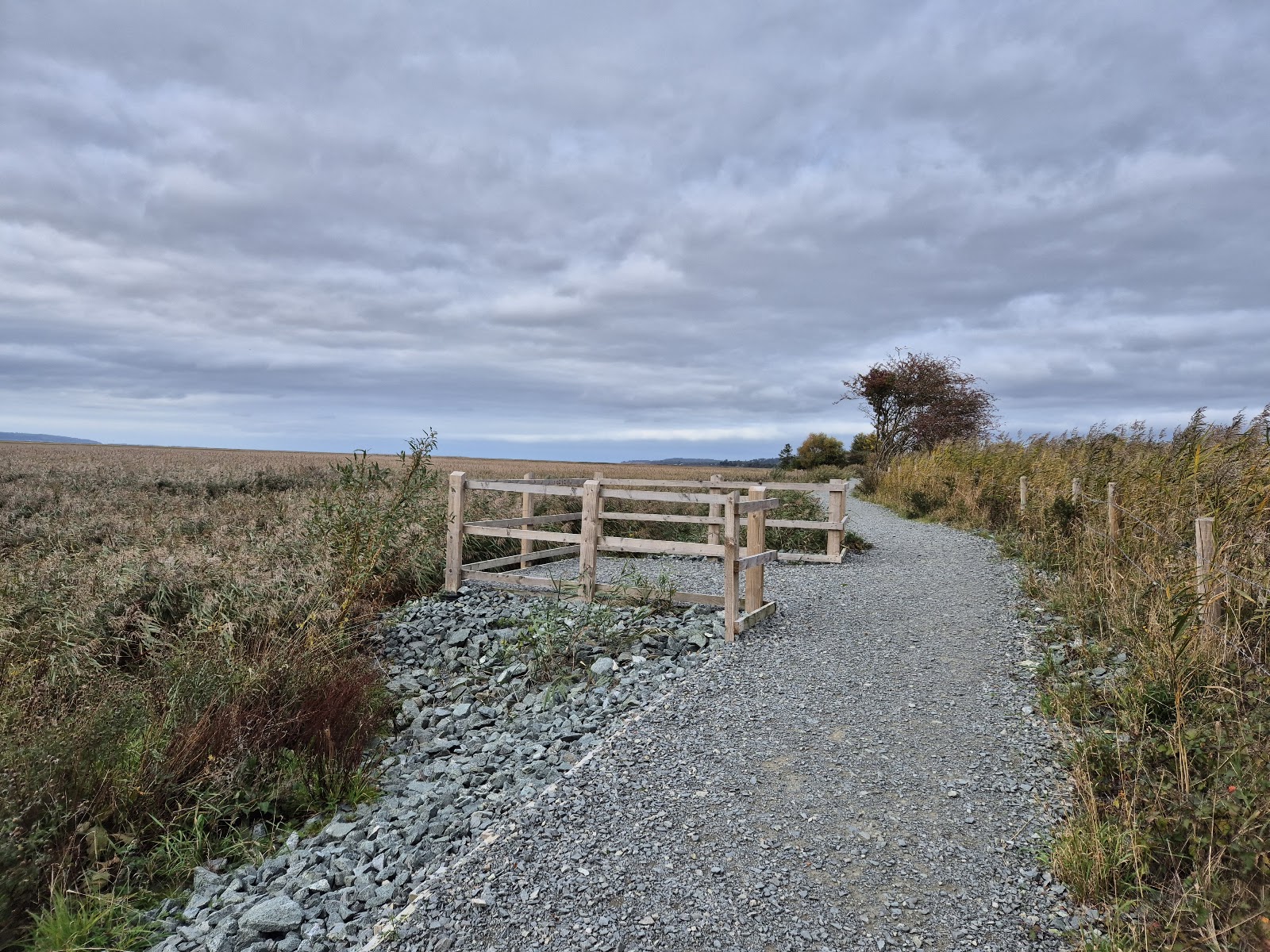 Viewpoint- Parkgate coastal path
