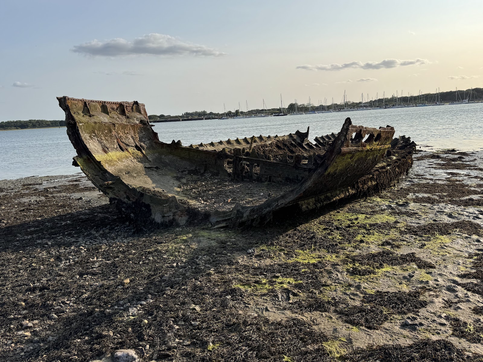England Coast Path (Fareham to Portchester Castle)