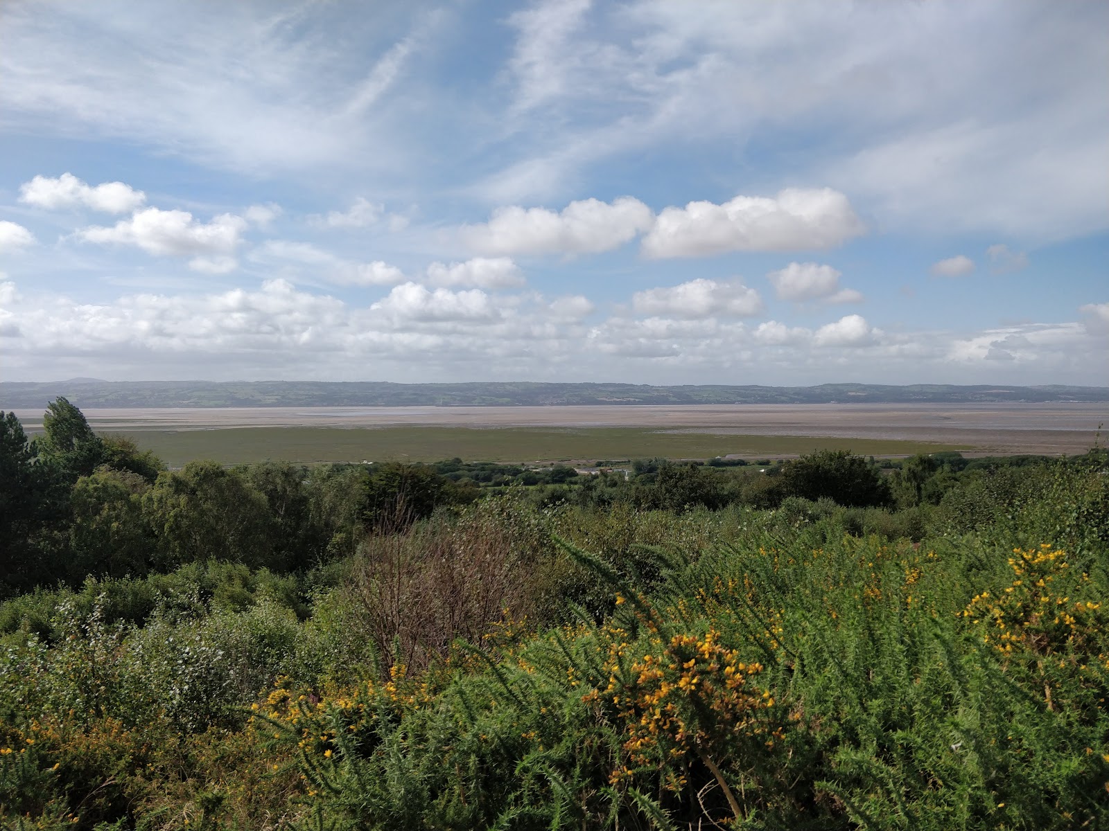 Heswall Dales