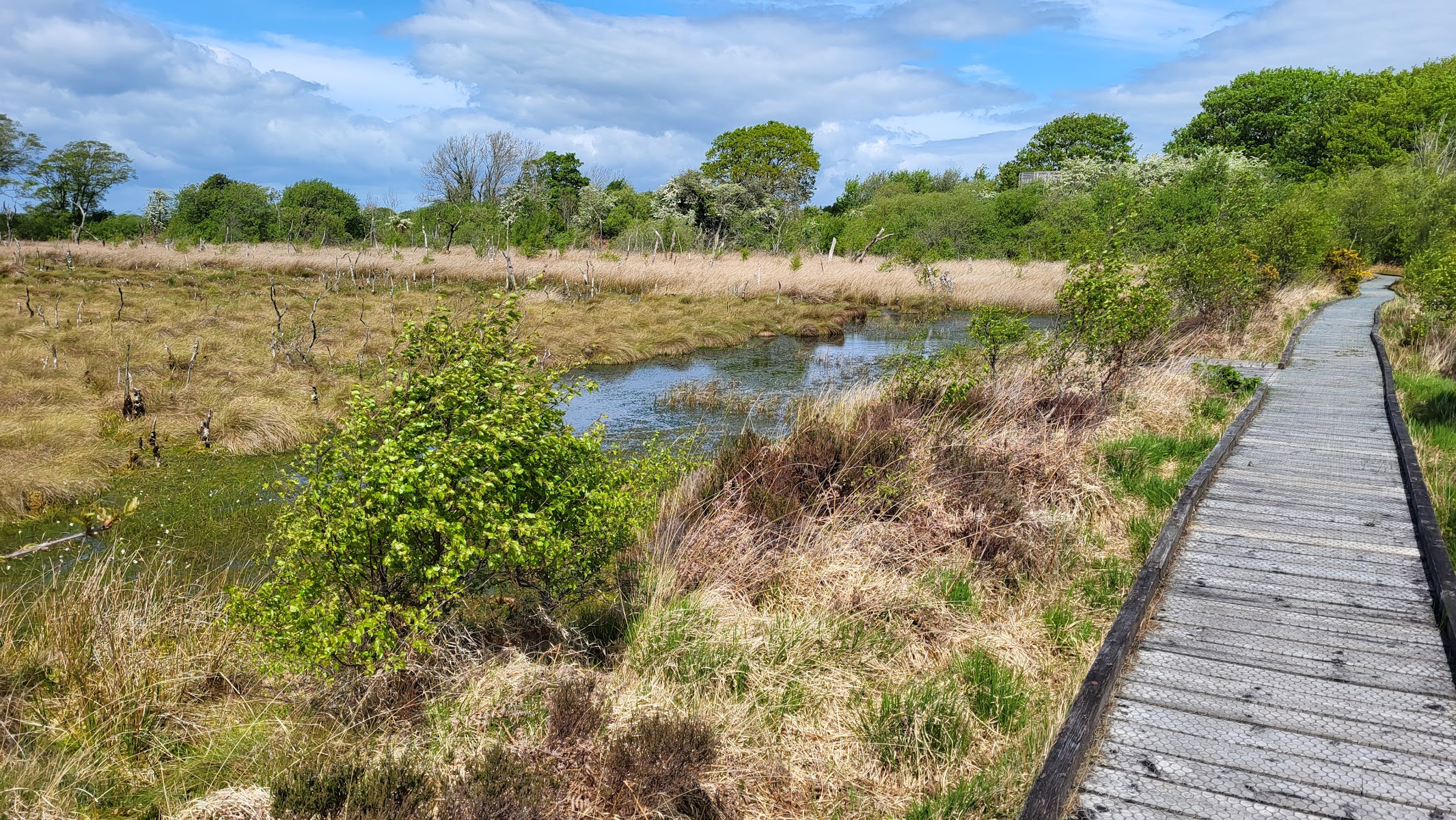 Glasson Moss Nature Reserve