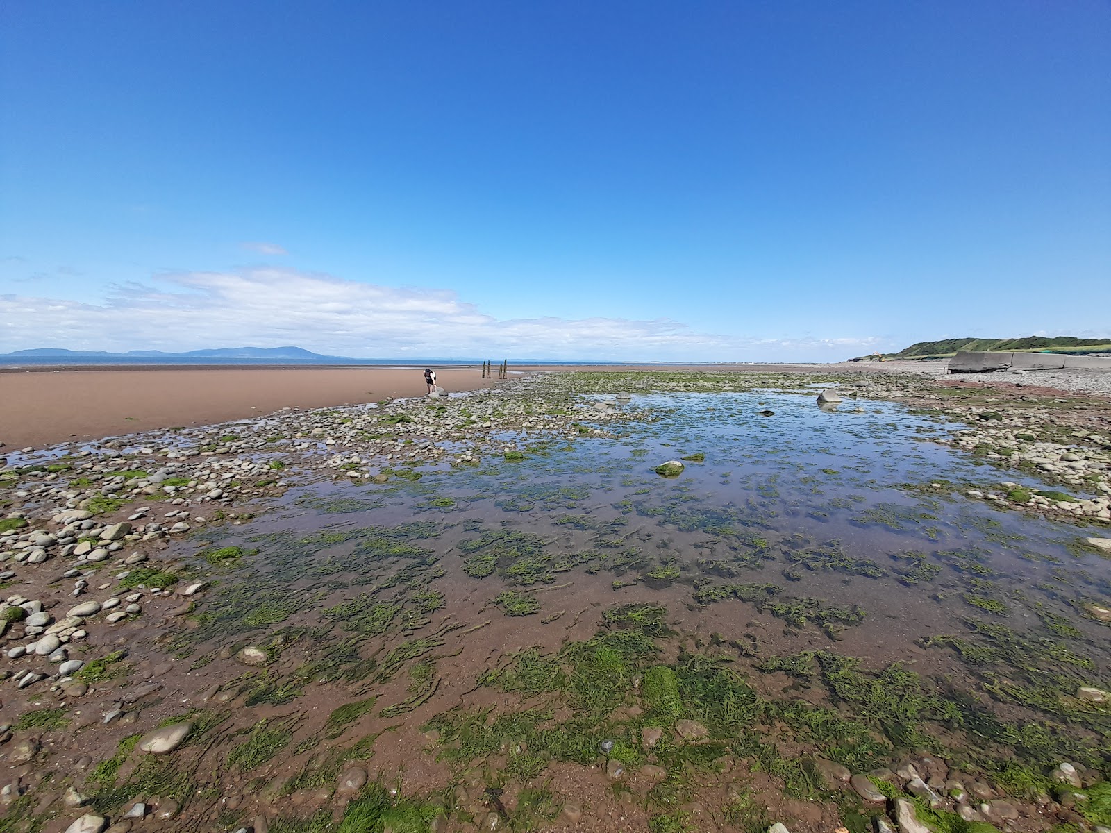Crosscanonby Carr Nature reserve