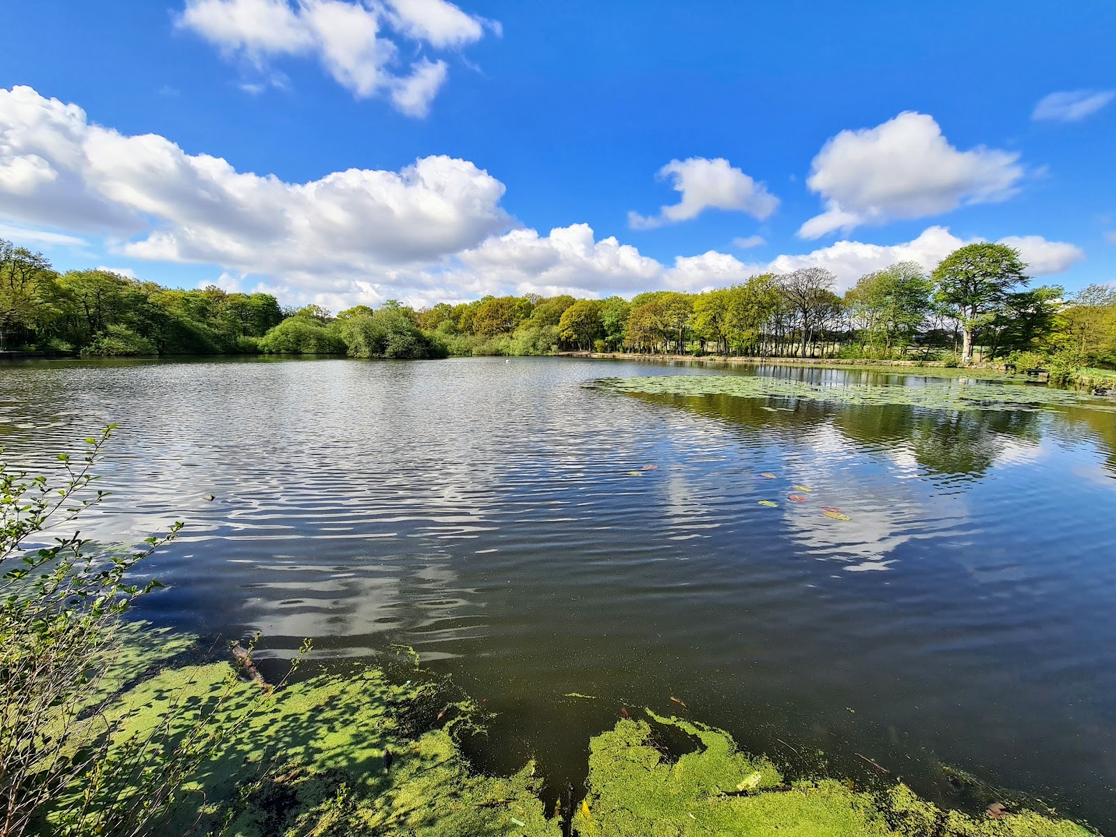 Paul's Pond